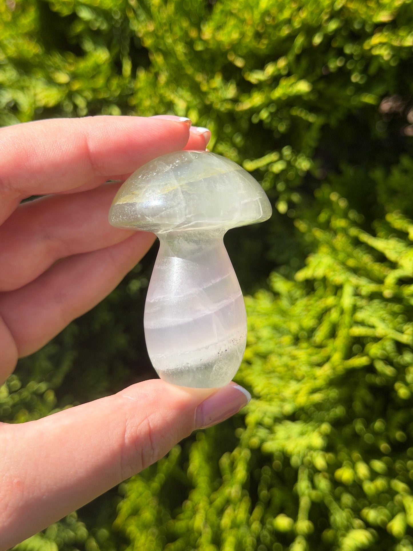 Fluorite Mushroom