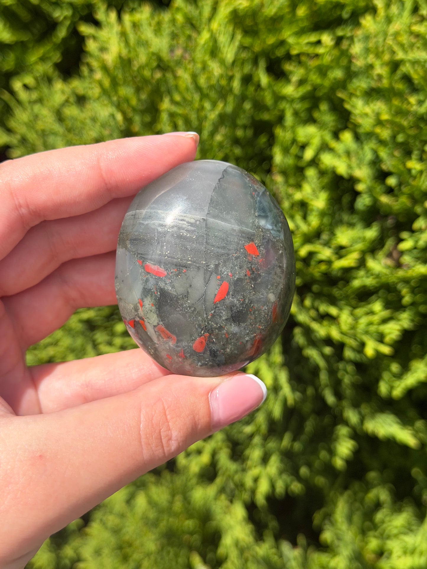 African Bloodstone Palm Stone 2