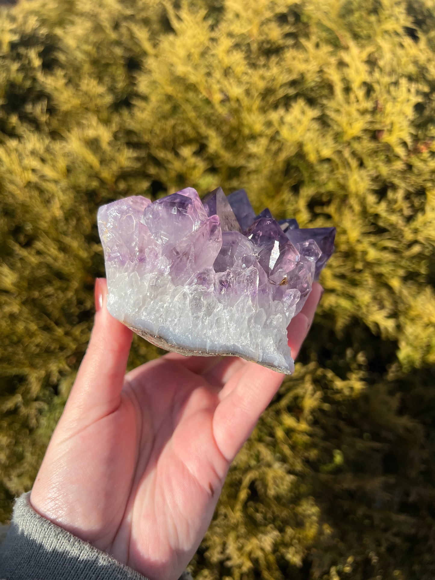 Large Amethyst Cluster