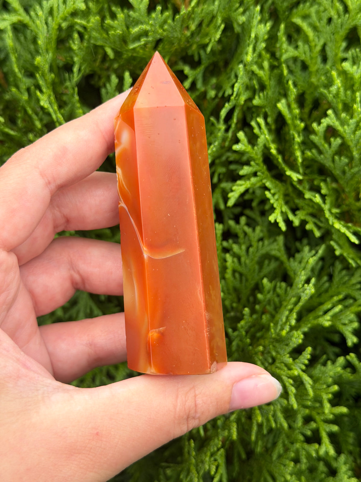 Carnelian Point