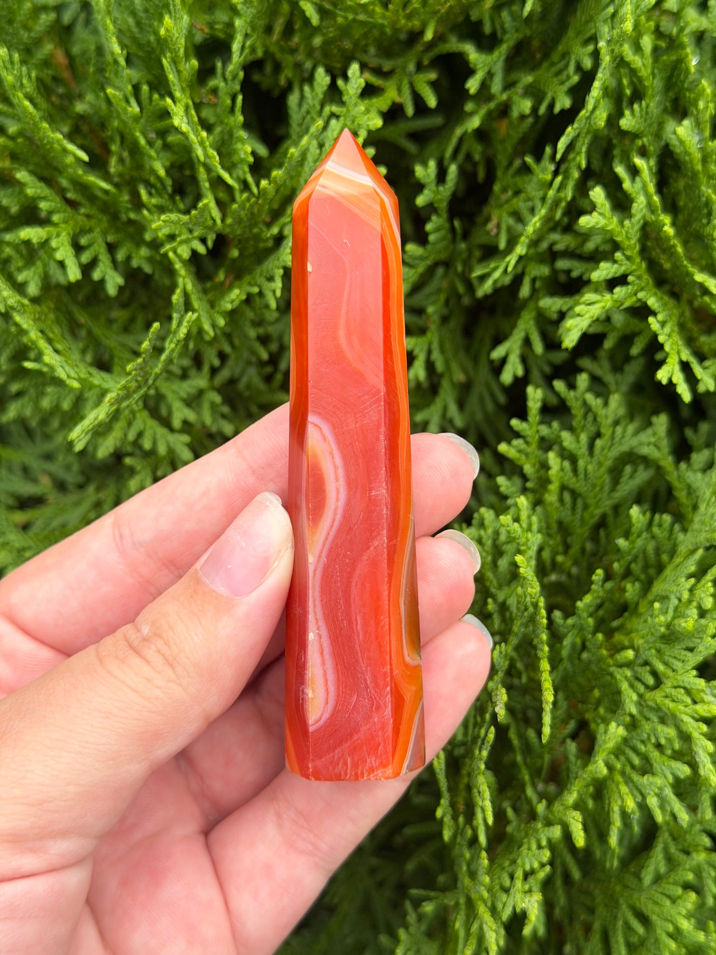 Carnelian Point