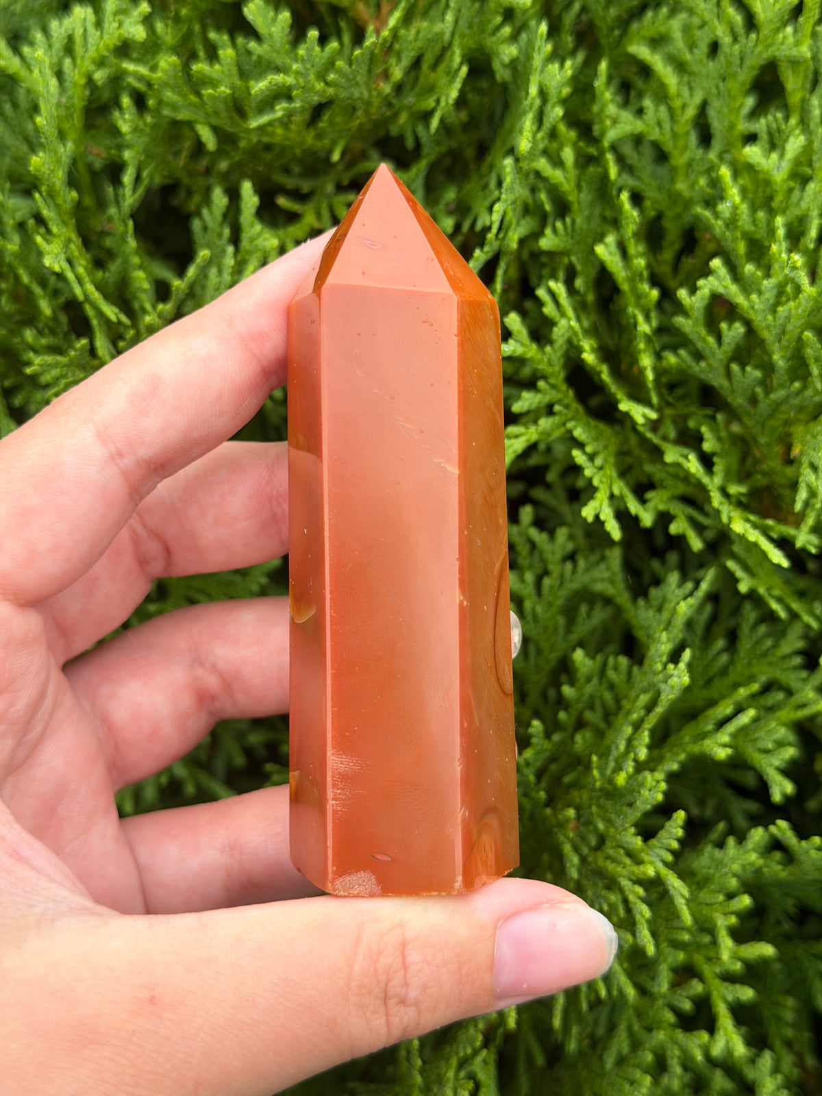 Carnelian Point