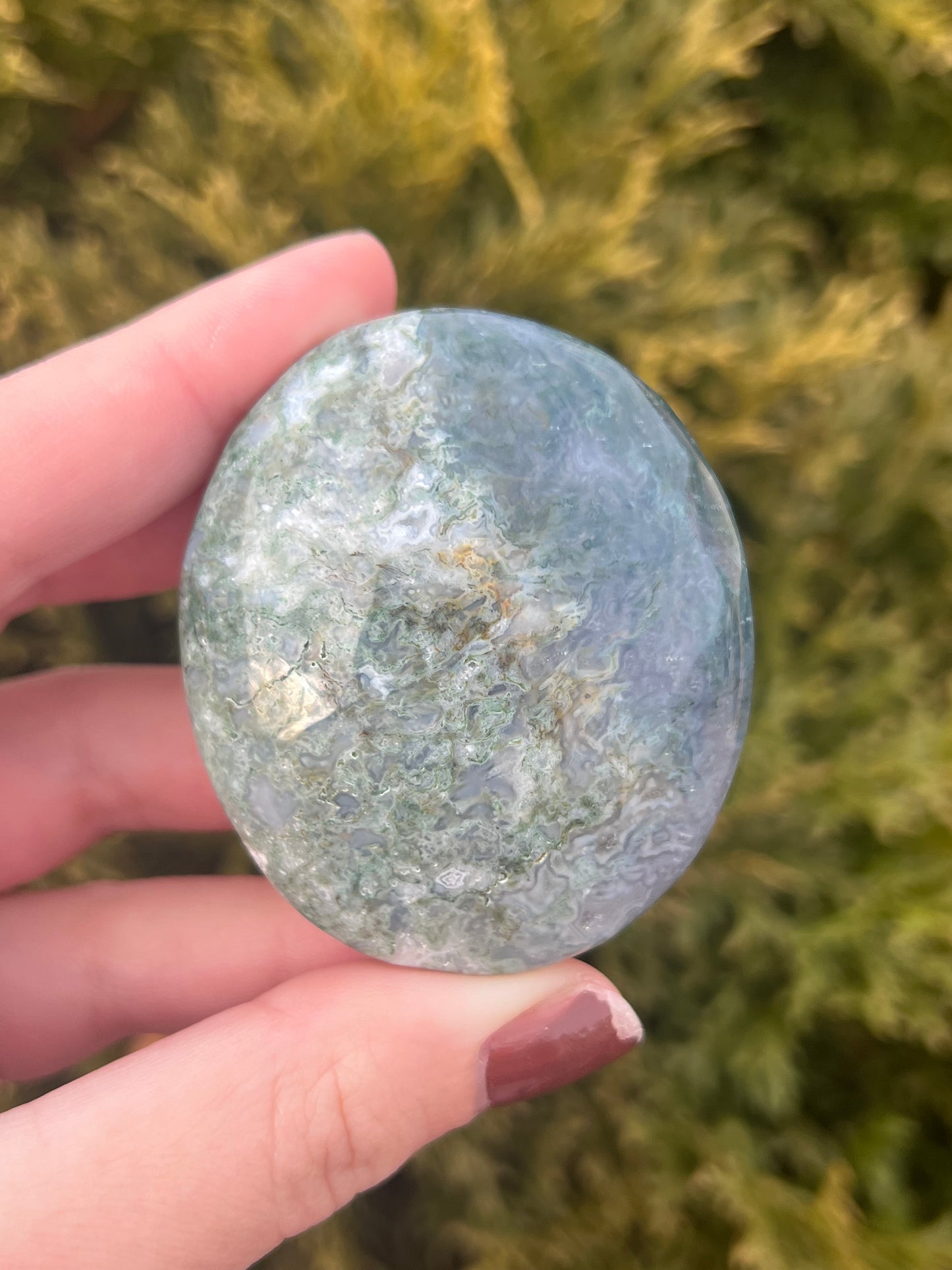 Moss Agate Palm Stone