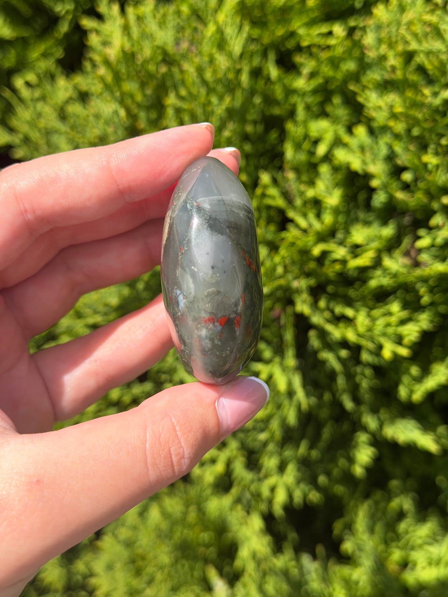 African Bloodstone Palm Stone 2