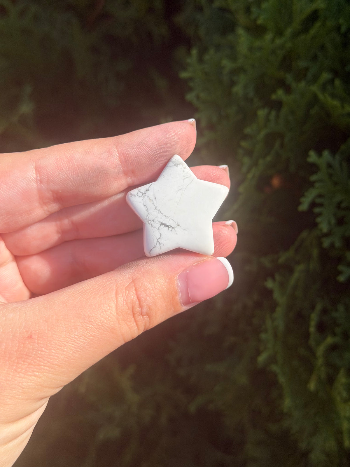 Howlite Mini Star