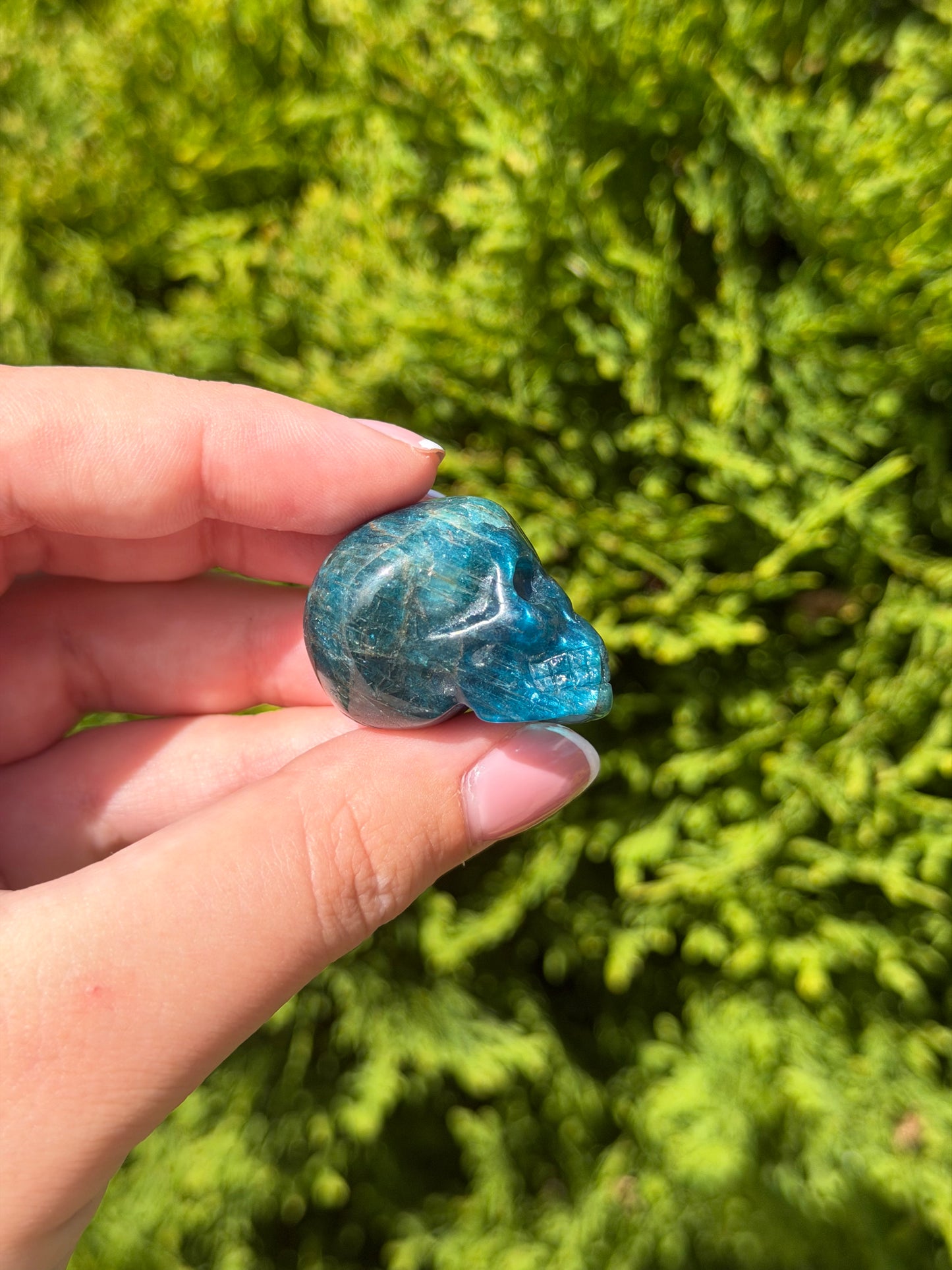 Blue Apatite Mini Skull