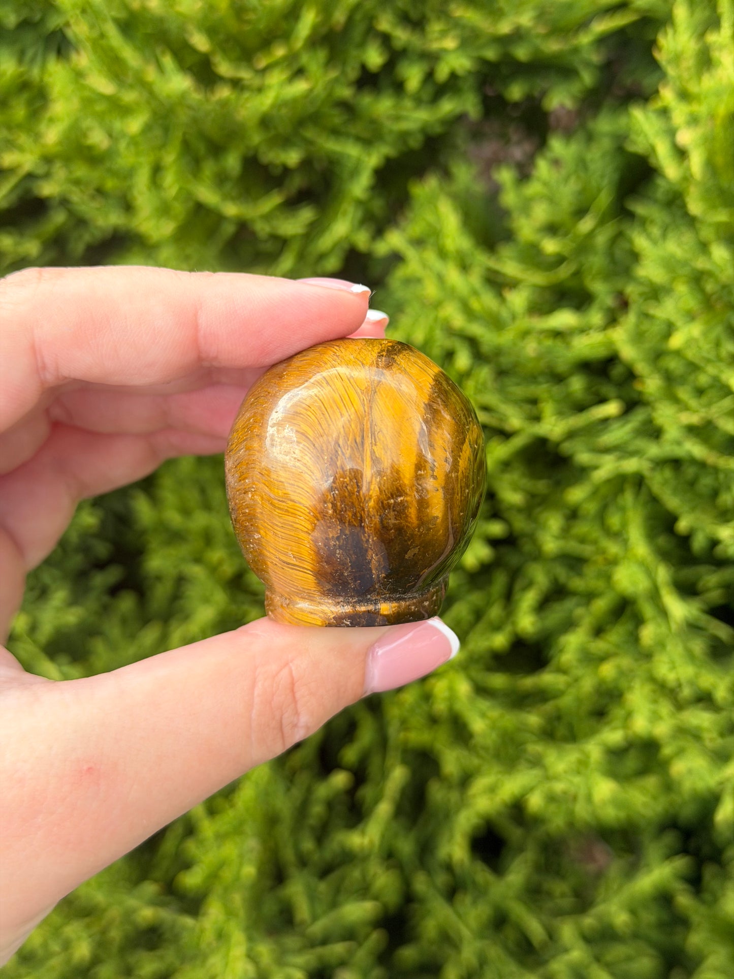 Tiger’s Eye Alien Head