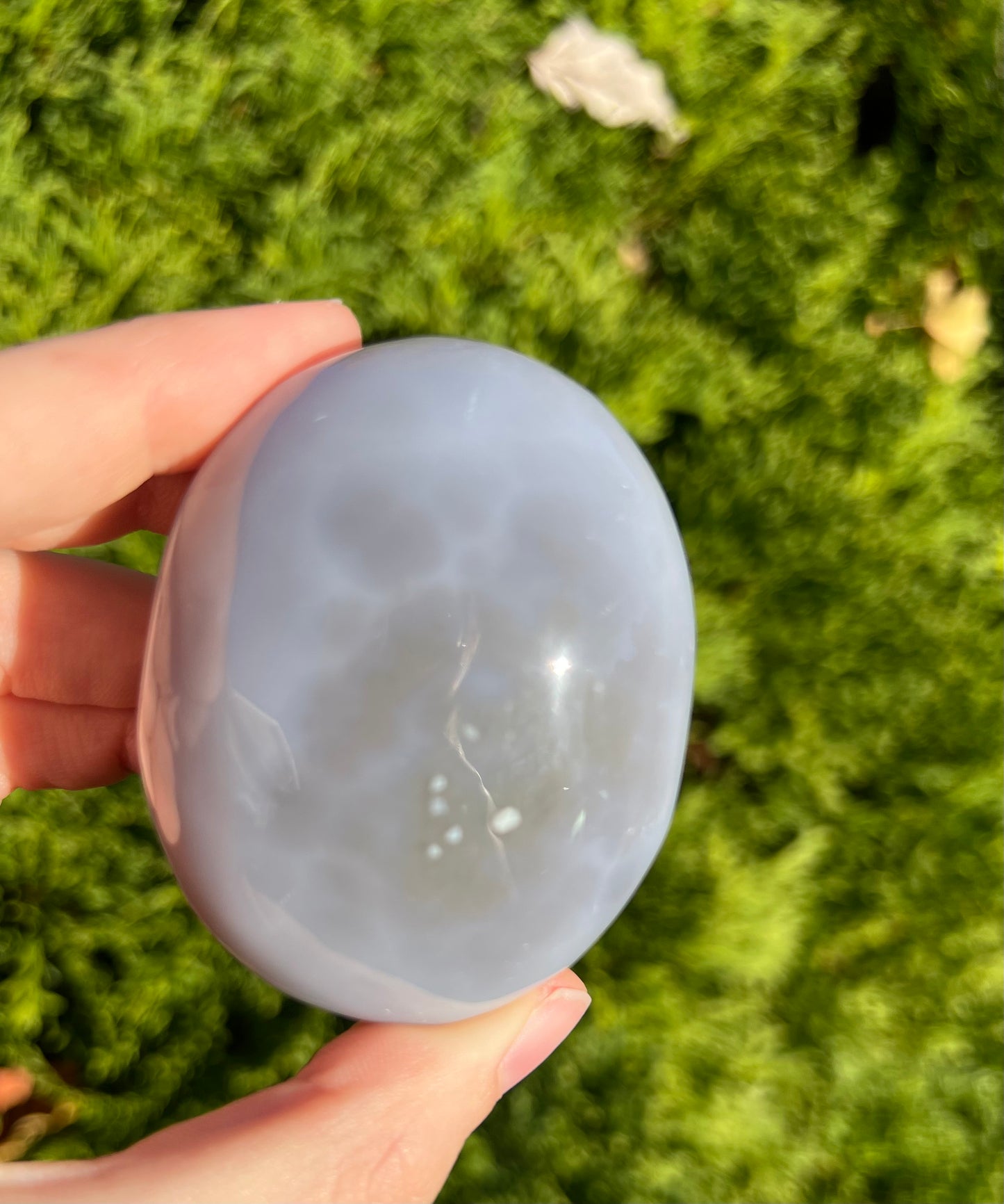 Agate Palm Stone