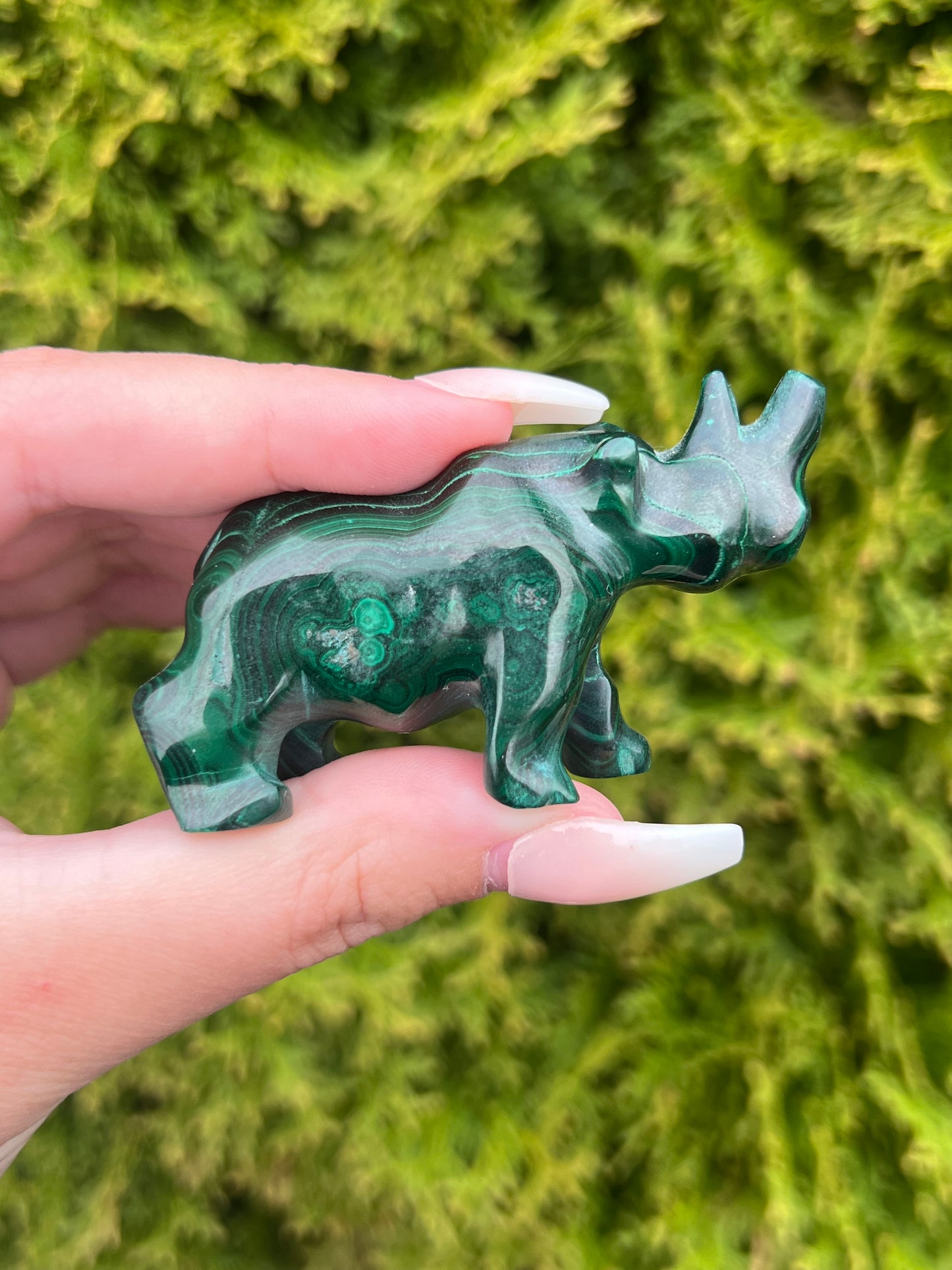 Malachite Rhinoceros