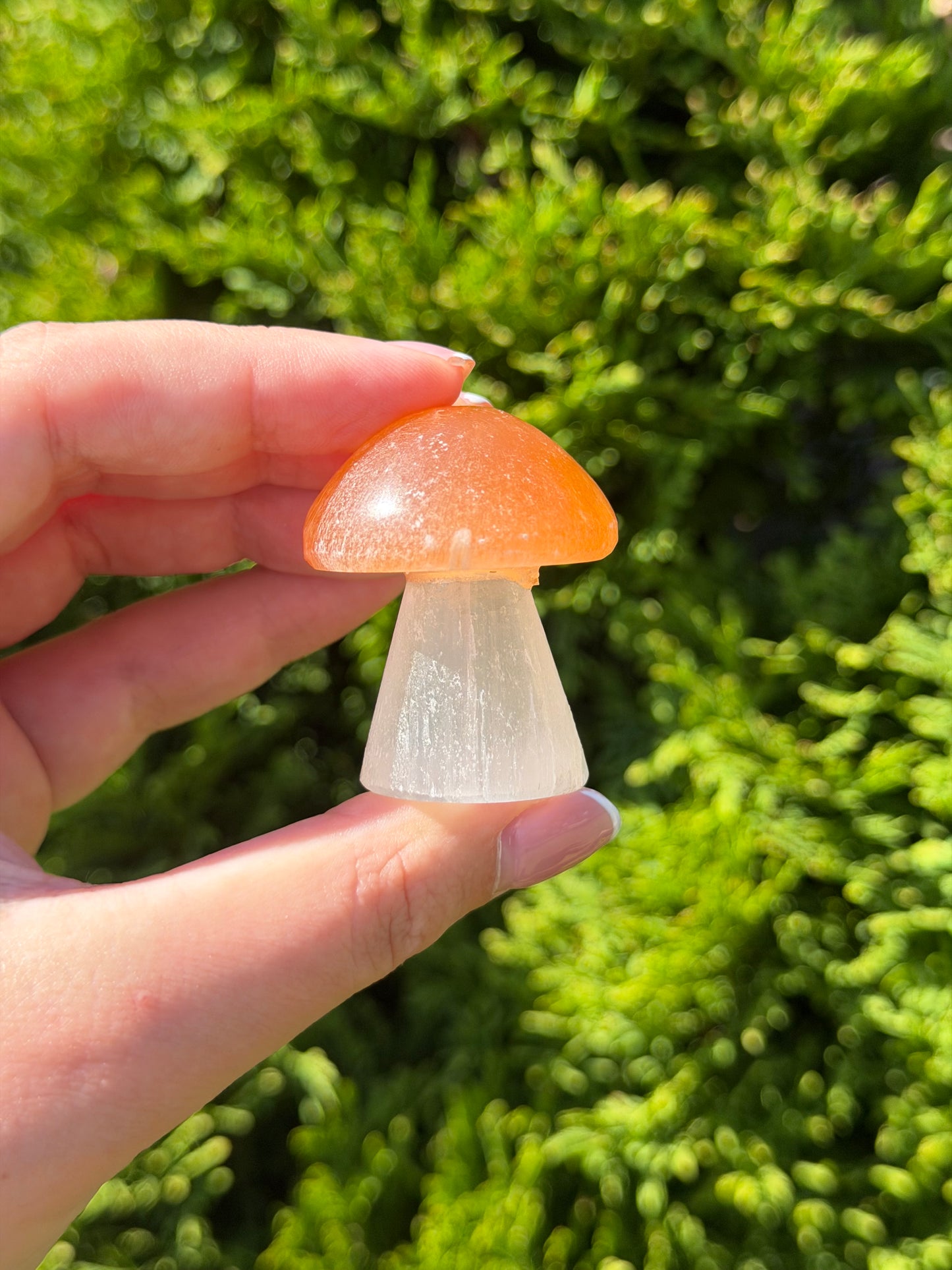 Small Selenite Mushroom