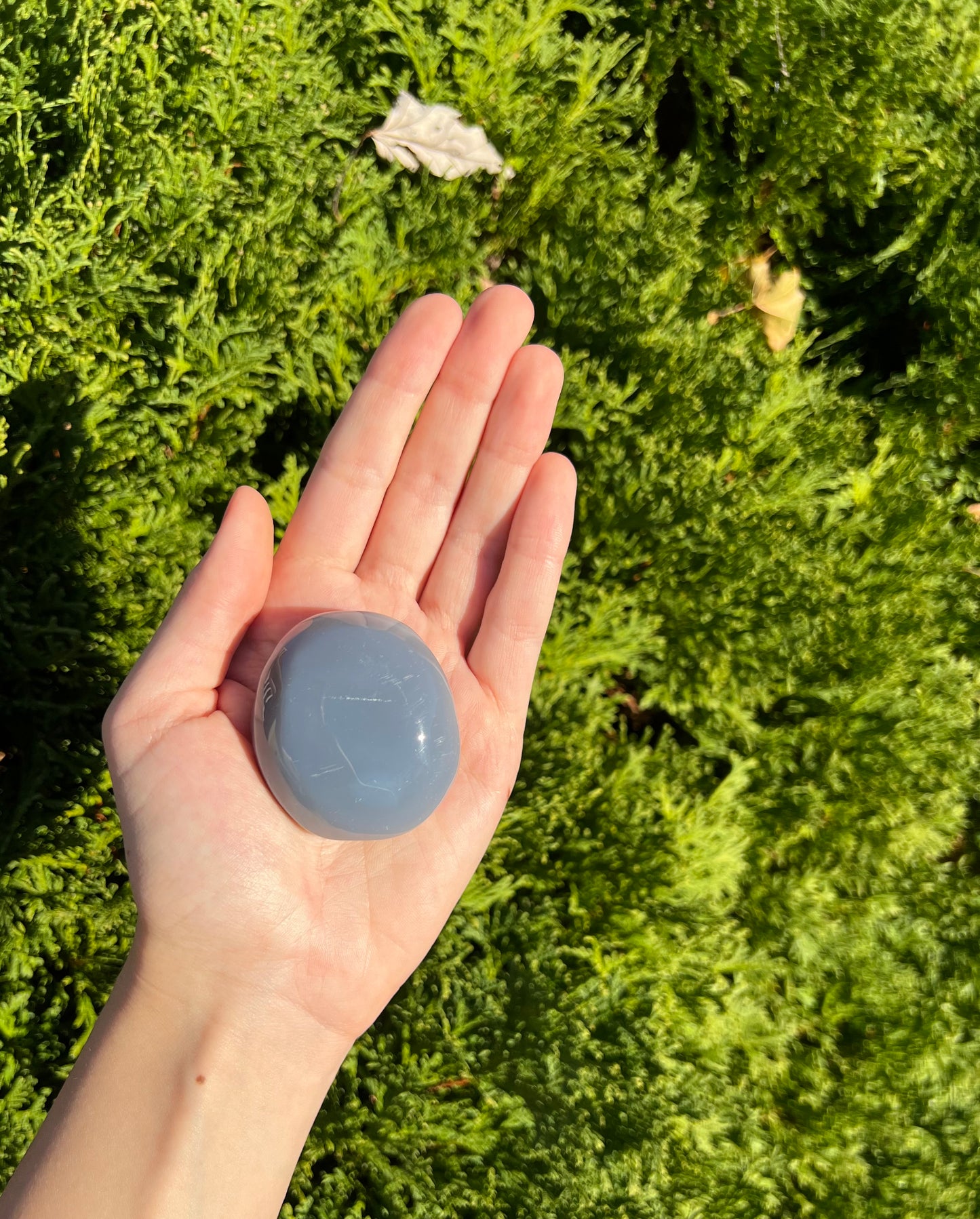 Agate Palm Stone