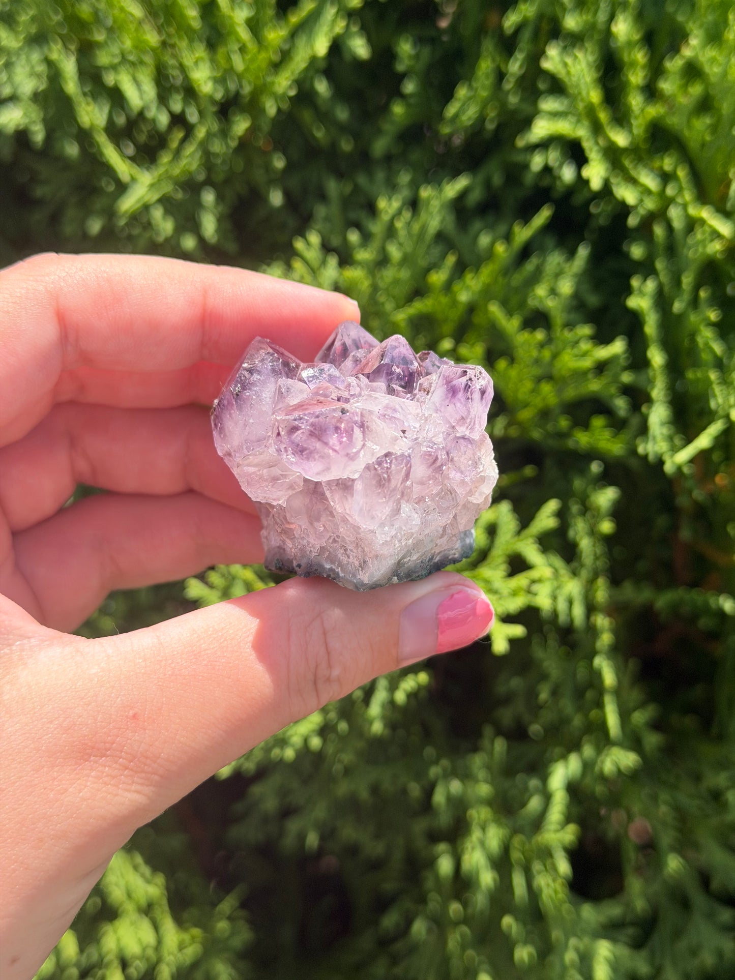 Raw Amethyst Cluster