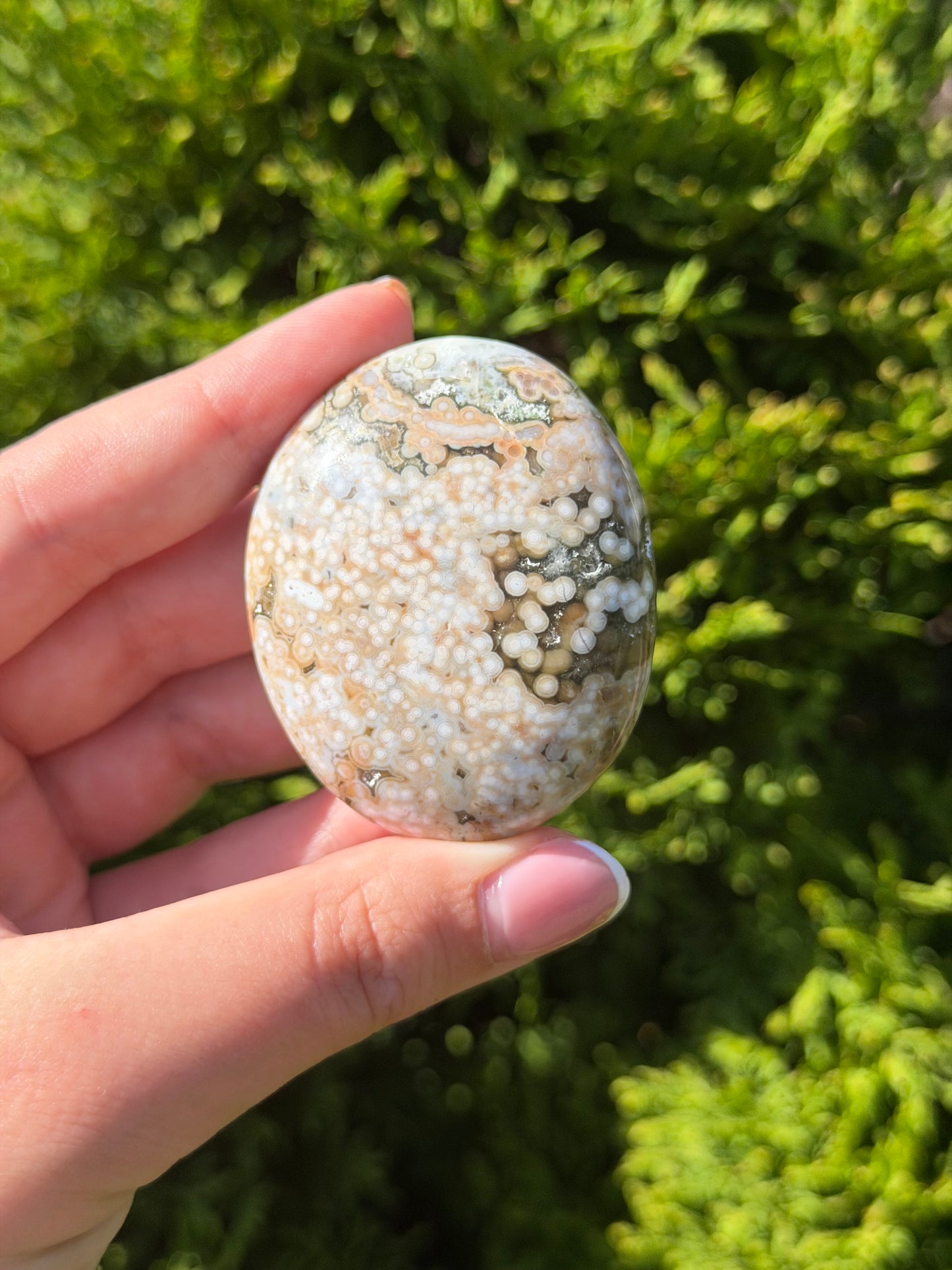 Bubble Ocean Jasper Palm Stone