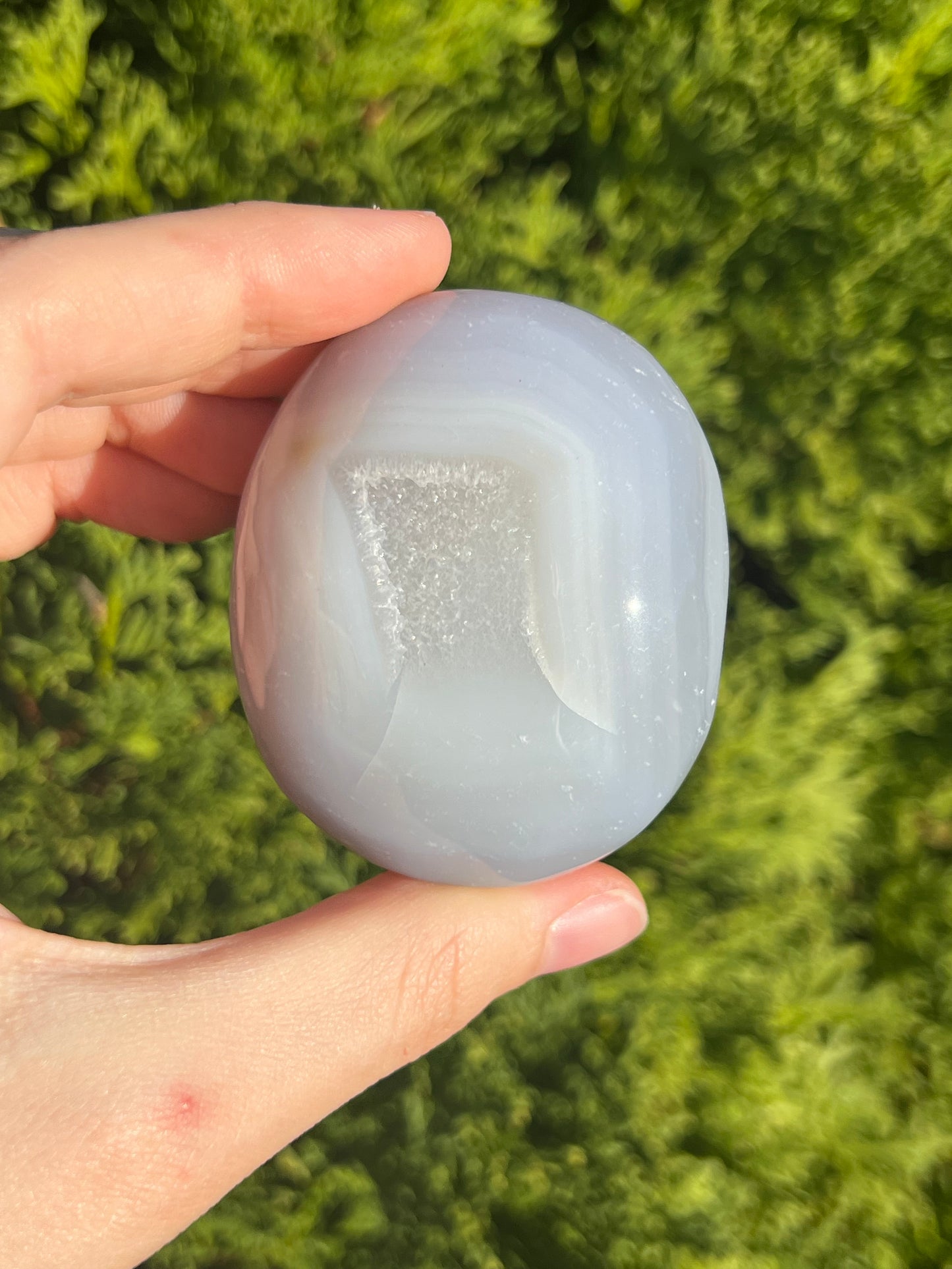 Agate Palm Stone