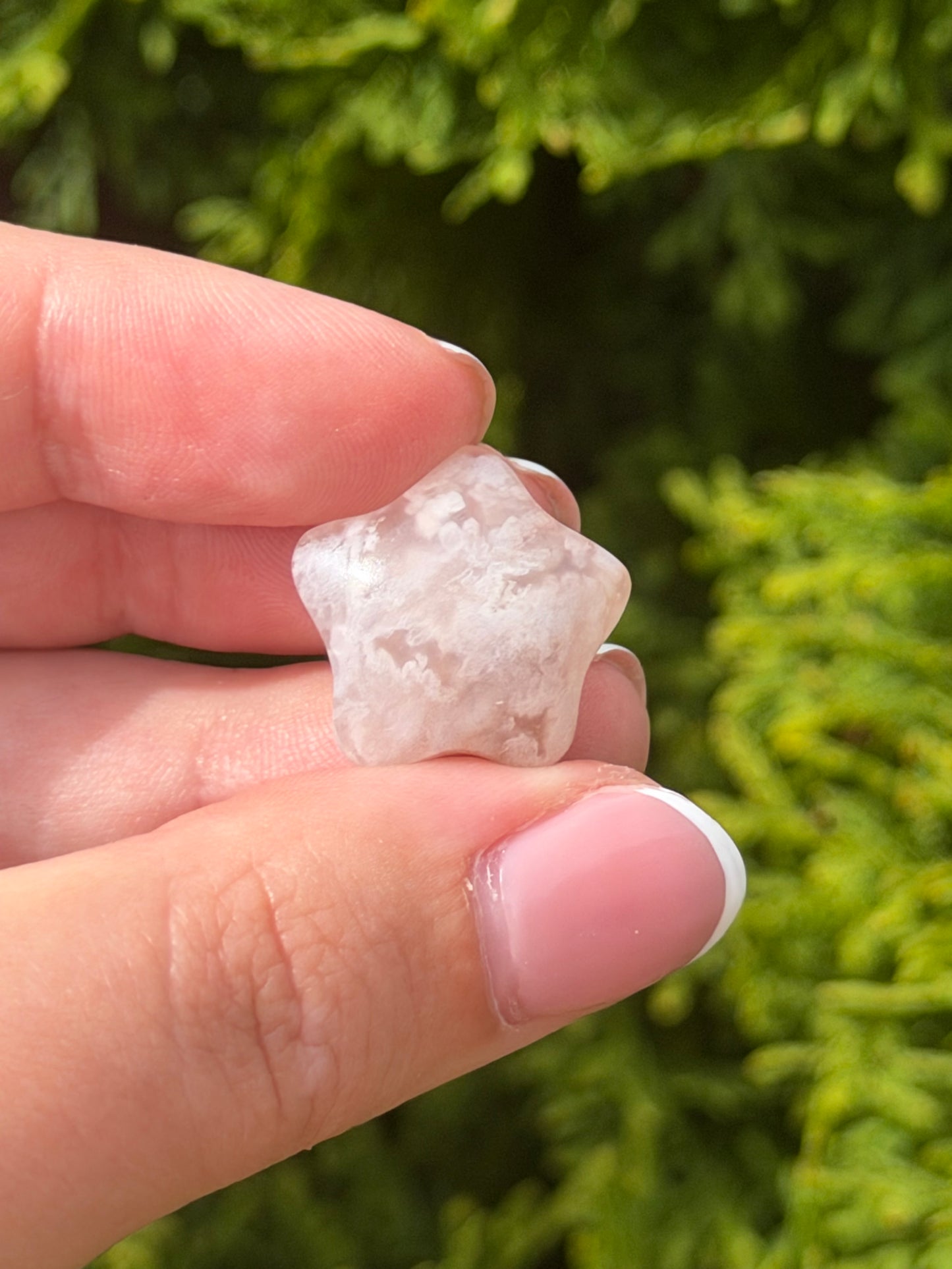 Mini Flower Agate Star