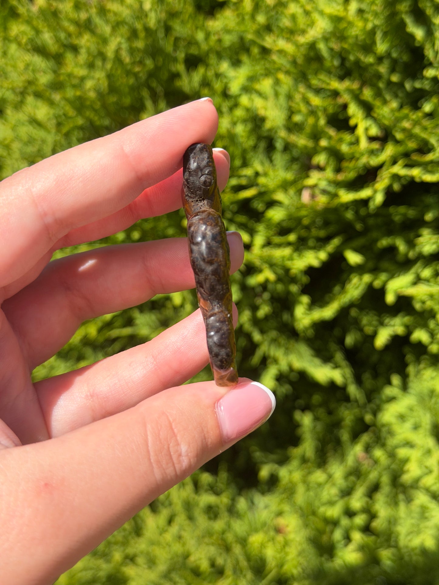 Tiger’s Eye Snake
