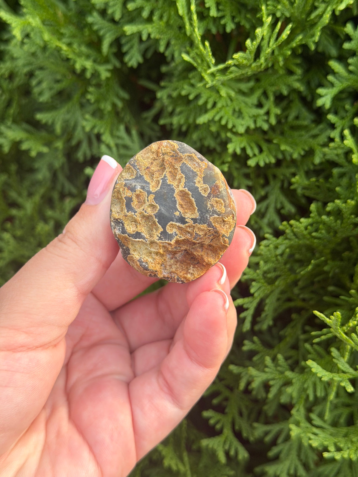 Mini Amethyst Cluster