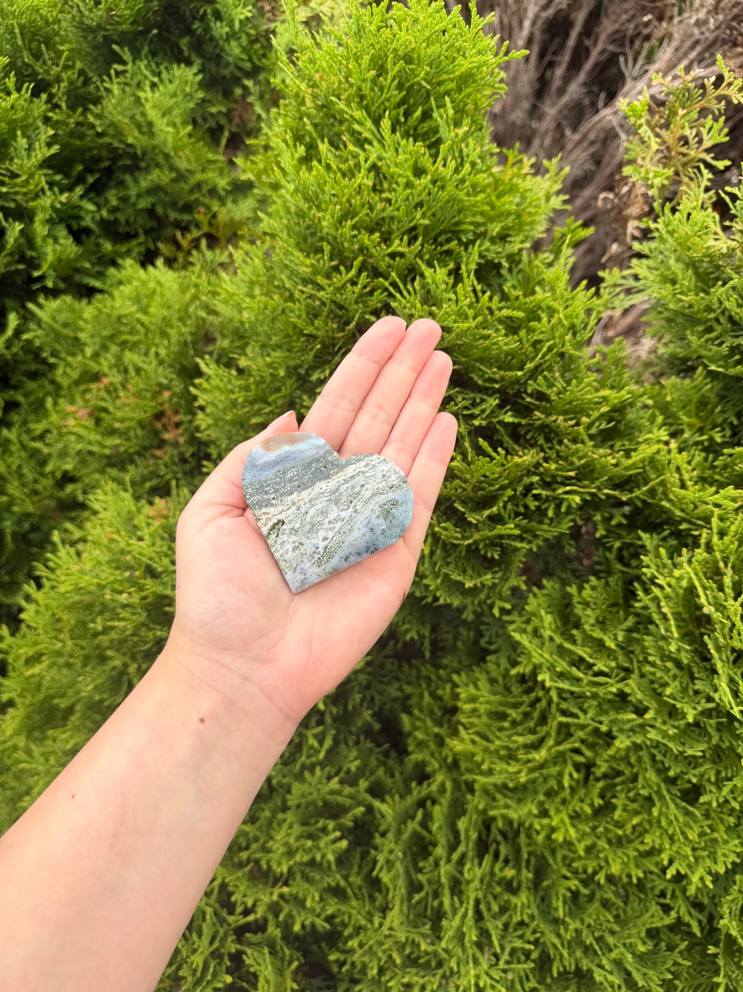 Bubble Orbicular Ocean Jasper Heart 1