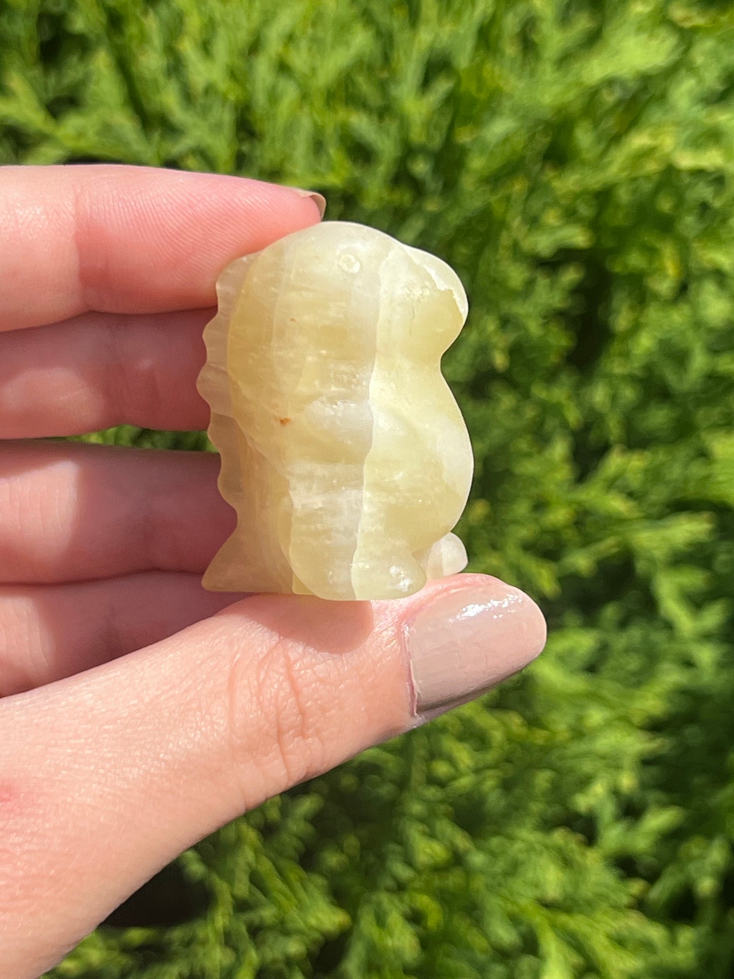 Lemon Calcite Mini Dino