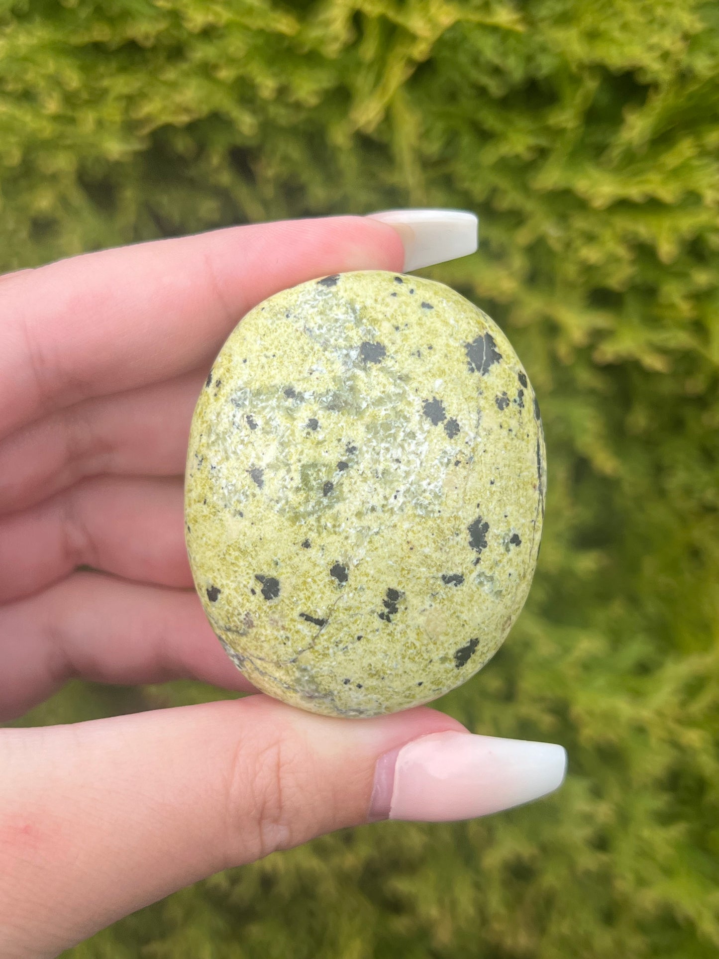 Serpentine Jasper Palm Stone