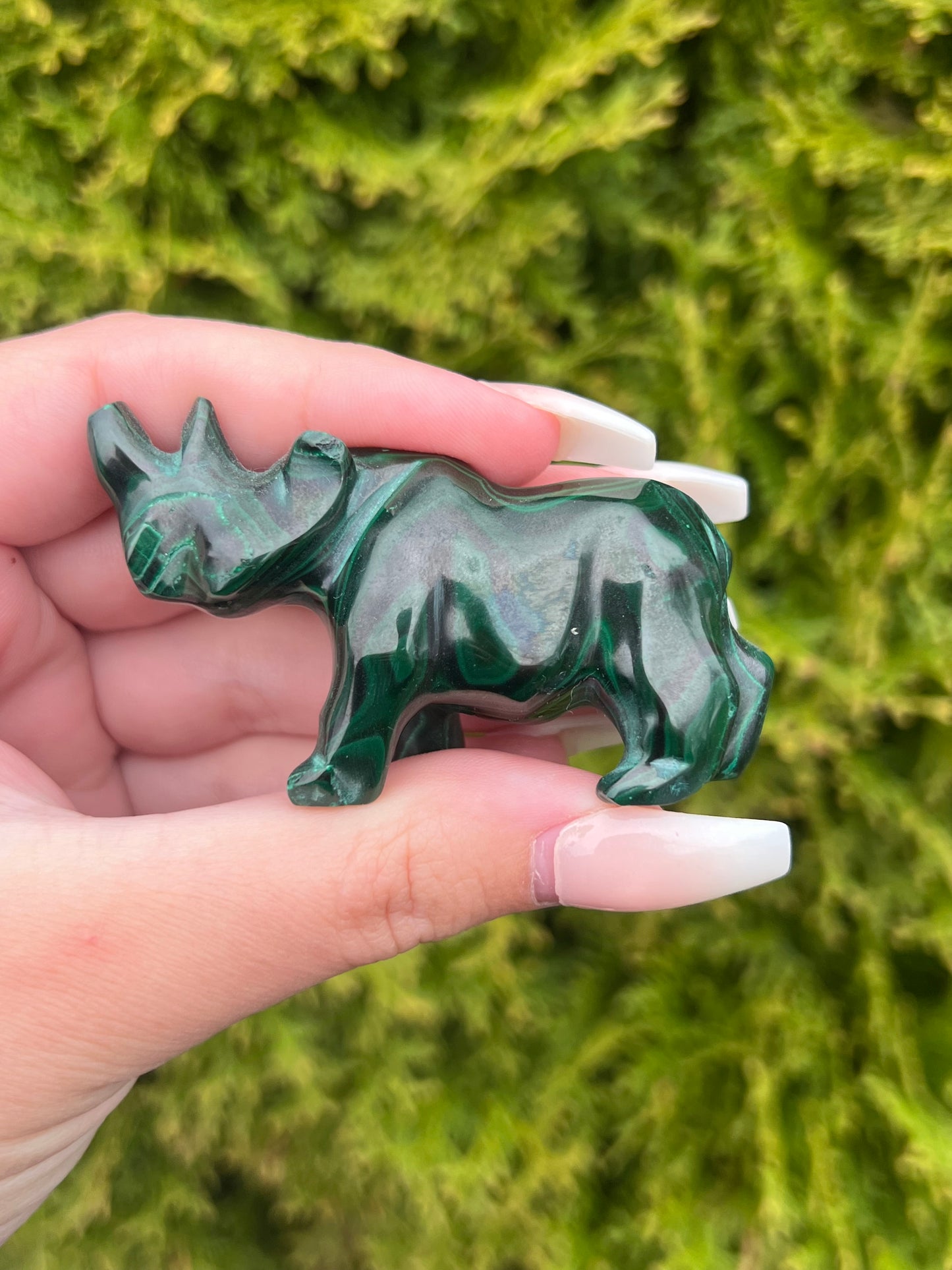 Malachite Rhinoceros