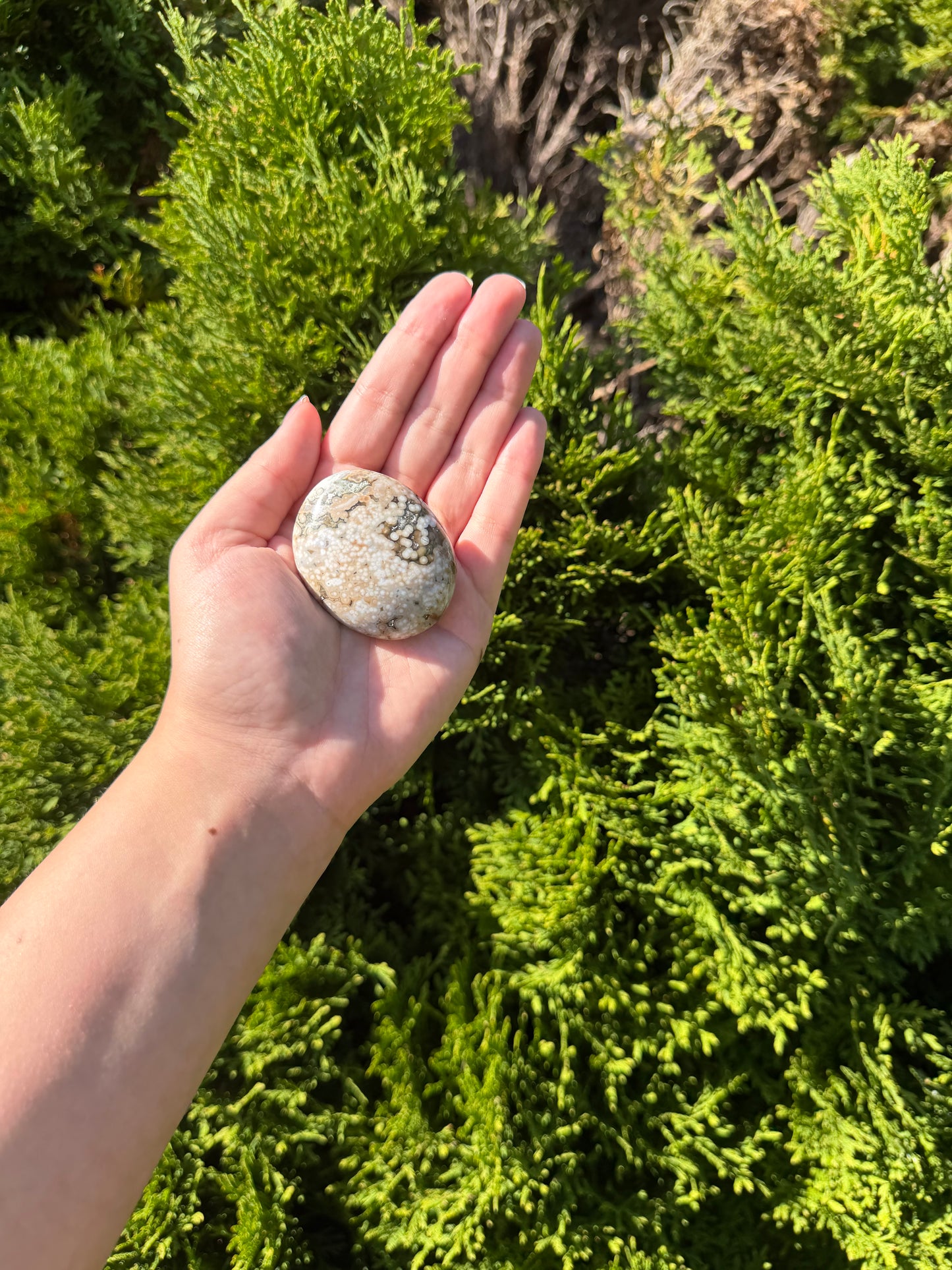 Bubble Ocean Jasper Palm Stone