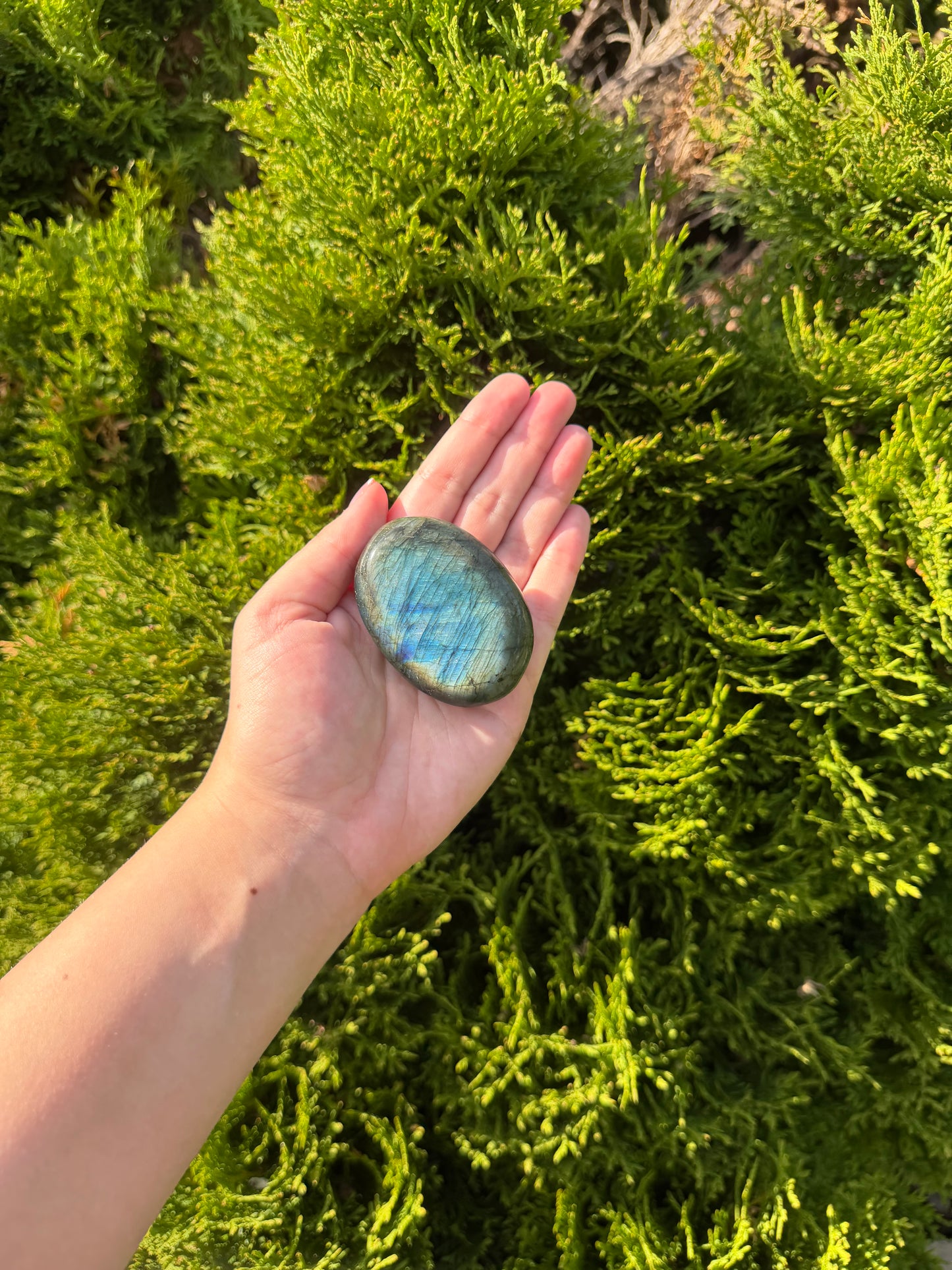 Labradorite Palm Stone
