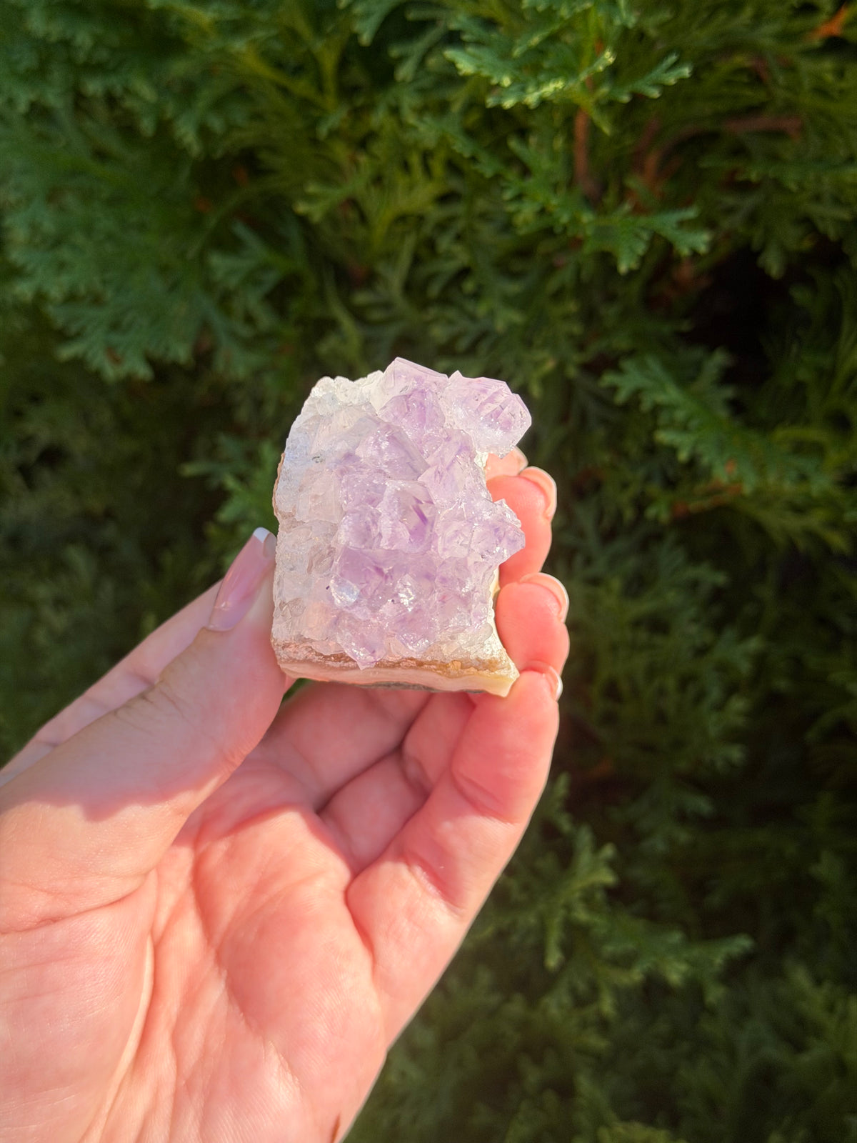 Raw Amethyst Cluster