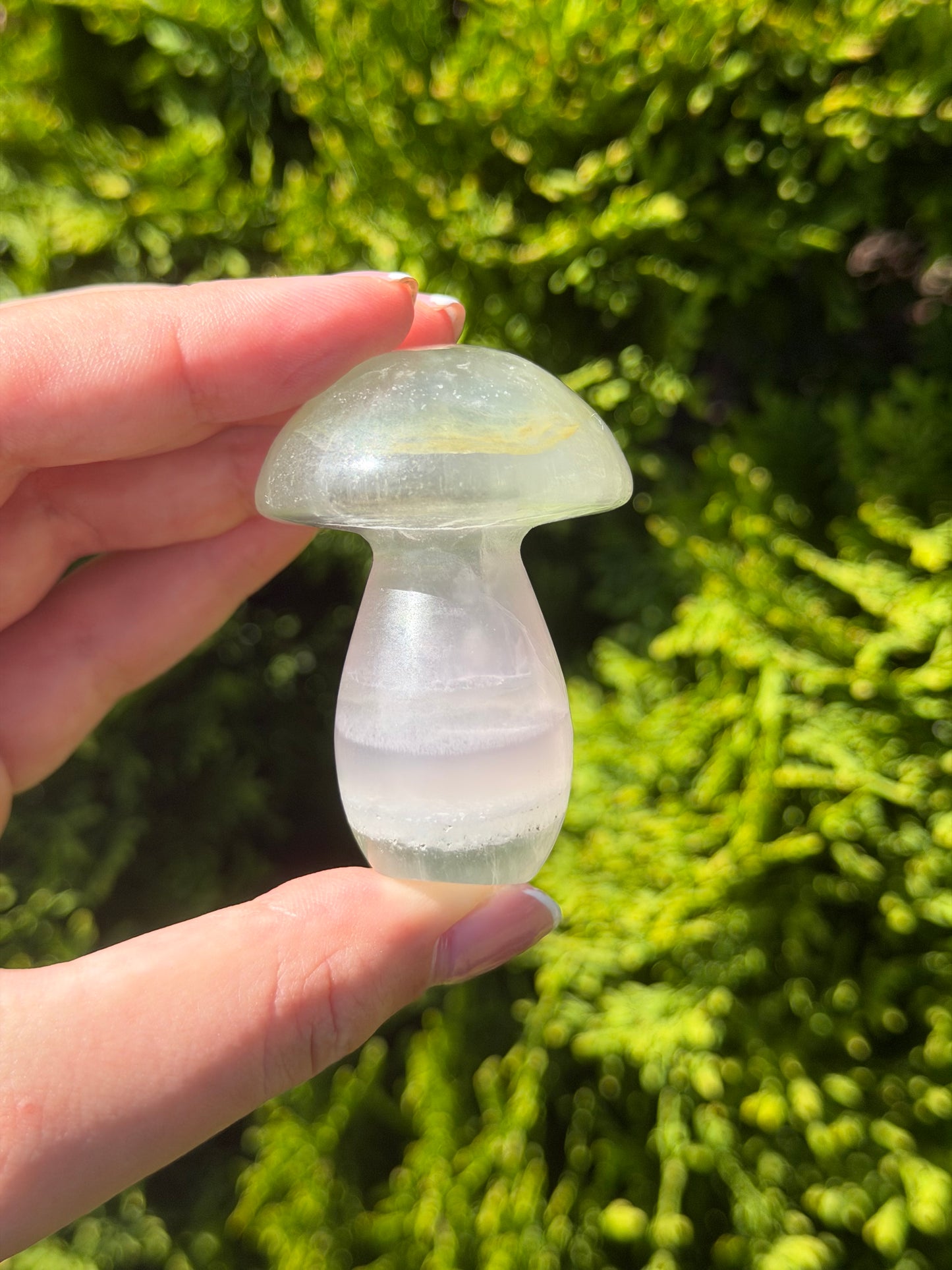 Fluorite Mushroom