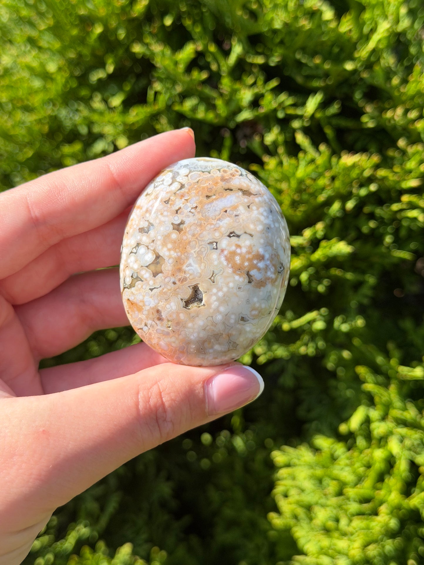 Bubble Ocean Jasper Palm Stone