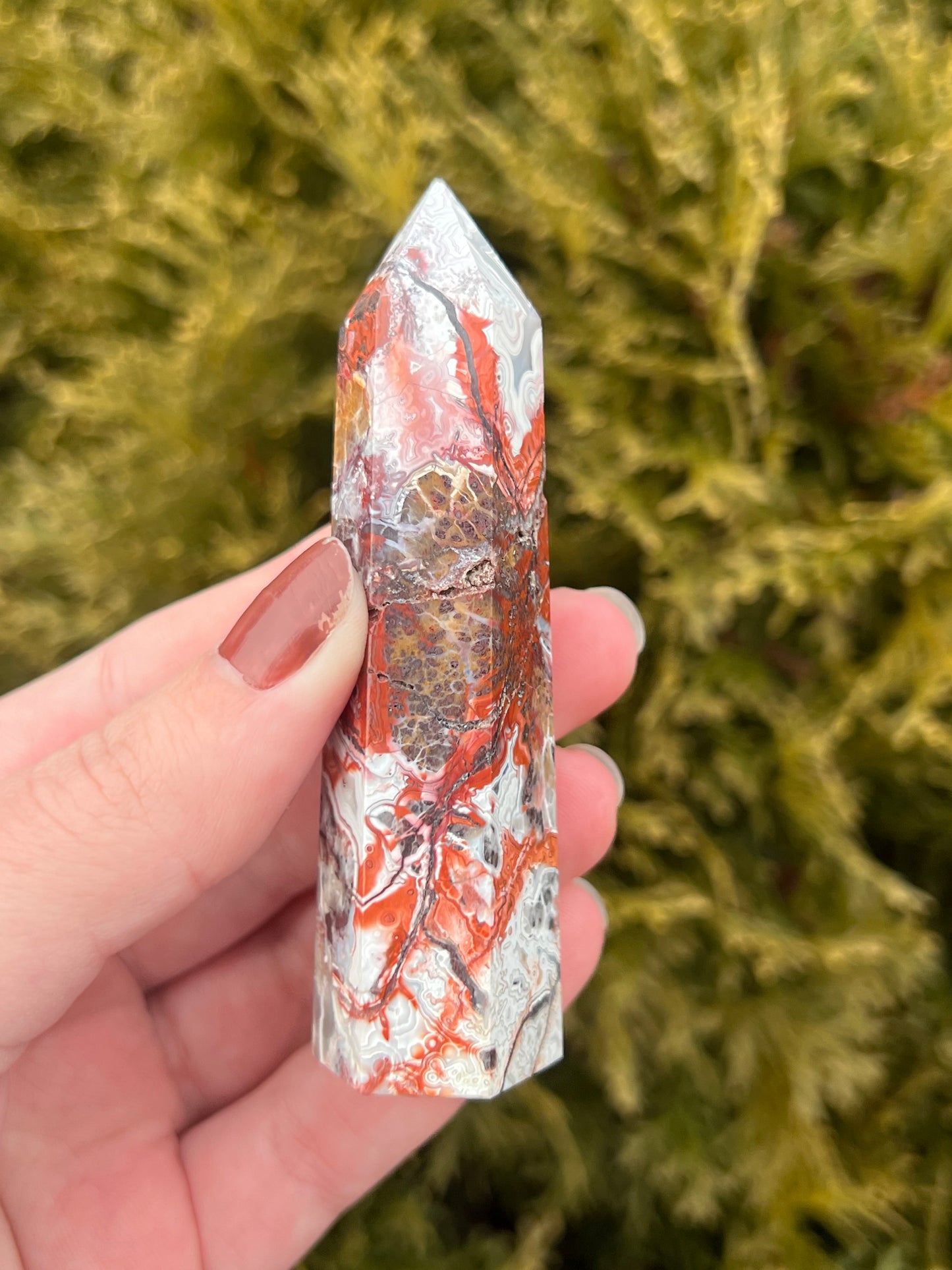Mexico Lace Agate Point