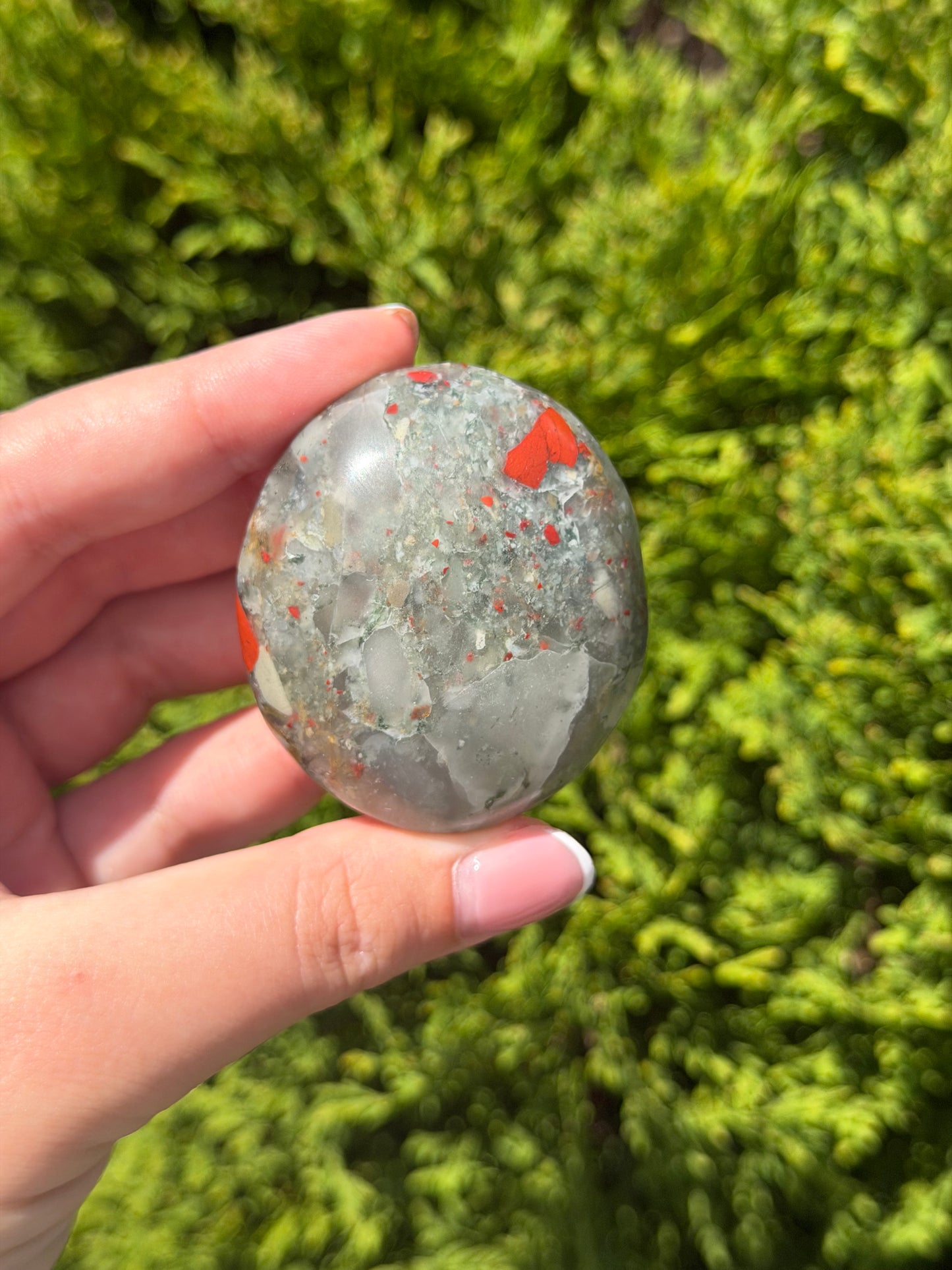 African Bloodstone Palm Stone 1