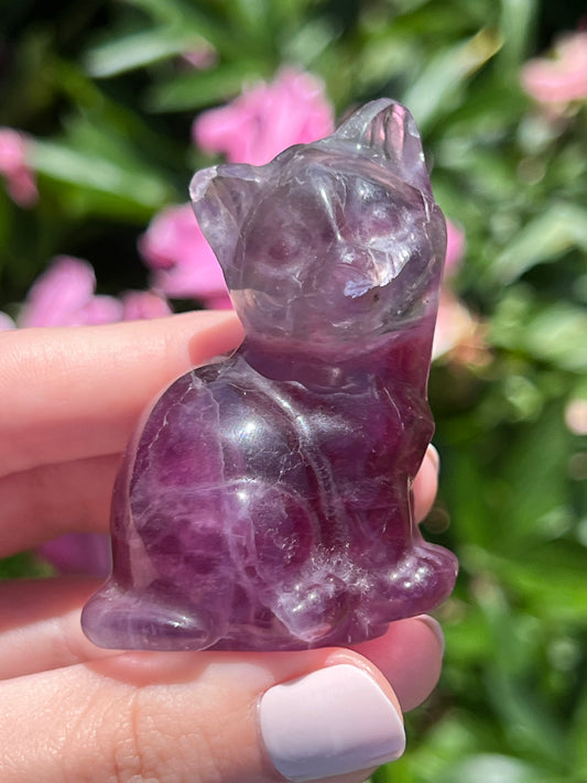 Fluorite Cat