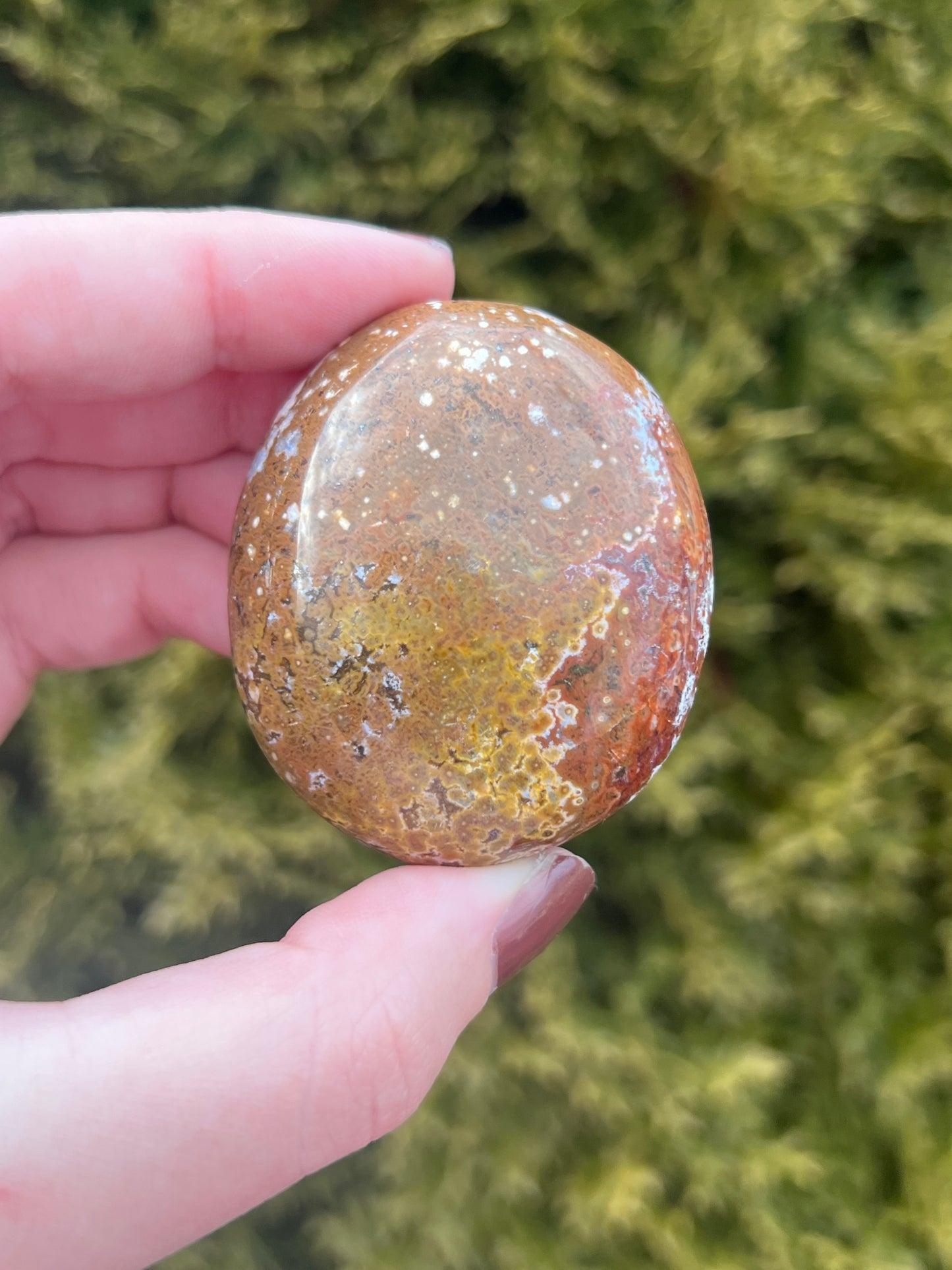 Small Ocean Jasper Palm Stone