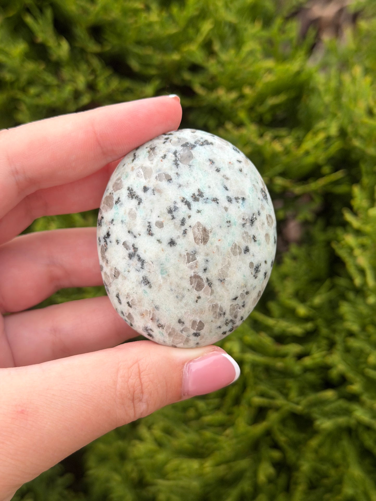 Kiwi Jasper Palm Stone