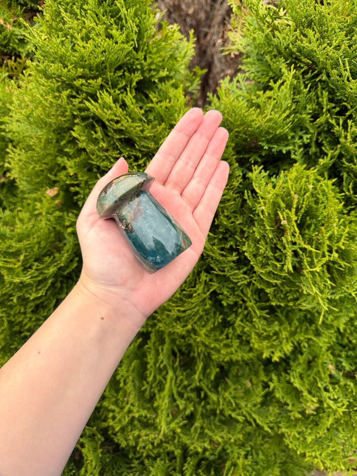 Ocean Jasper Mushroom