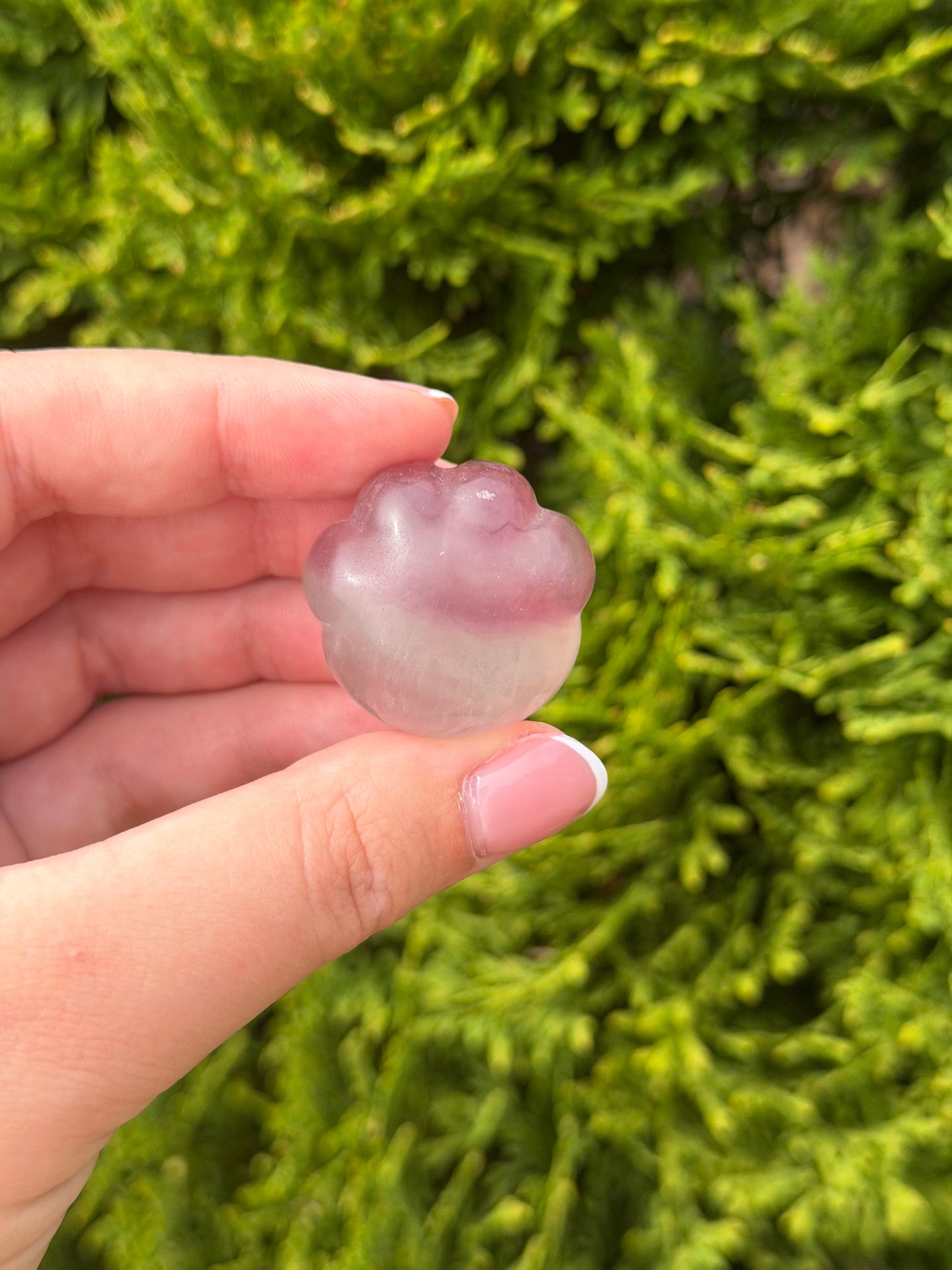 Fluorite Cat Paw 1