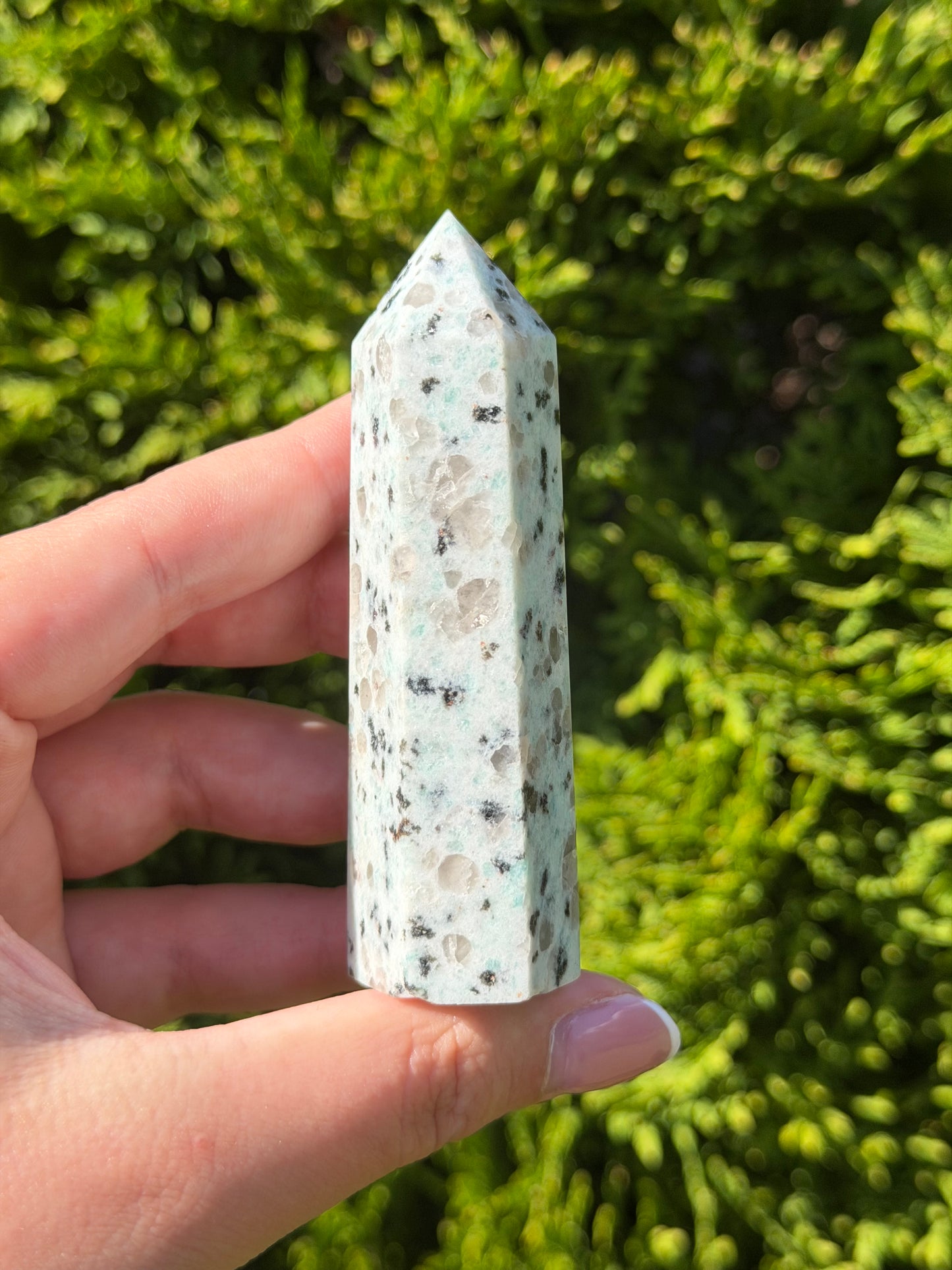 Kiwi Jasper Point