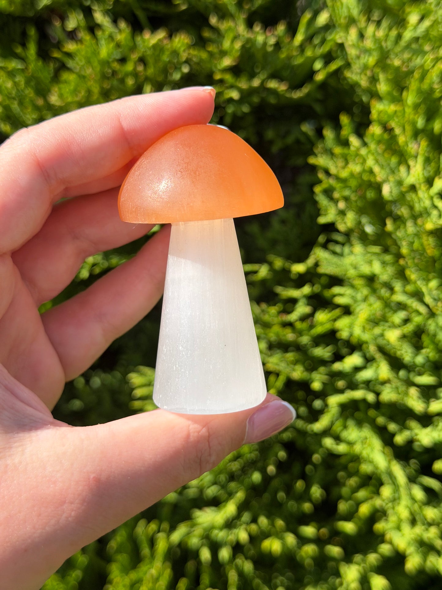 Large Selenite Mushroom