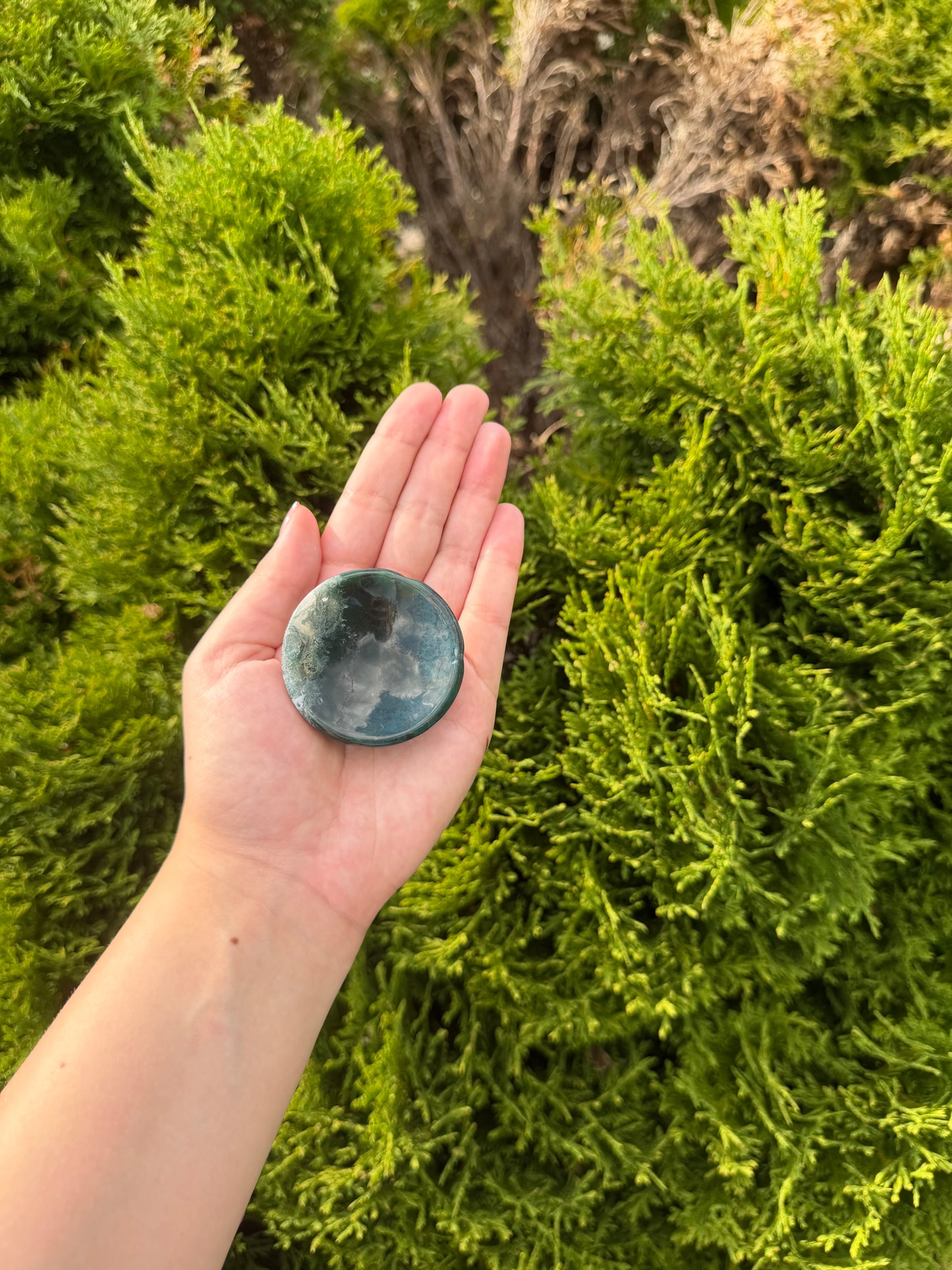 Moss Agate Bowl 1