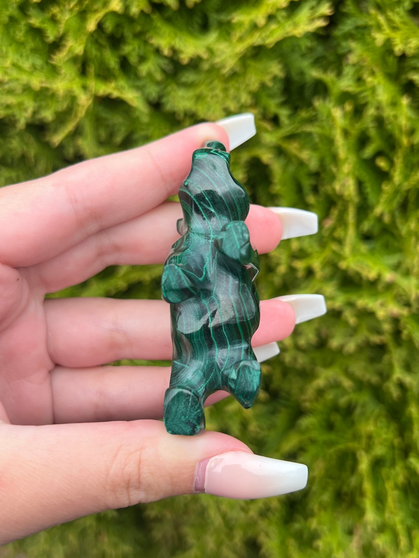 Malachite Rhinoceros