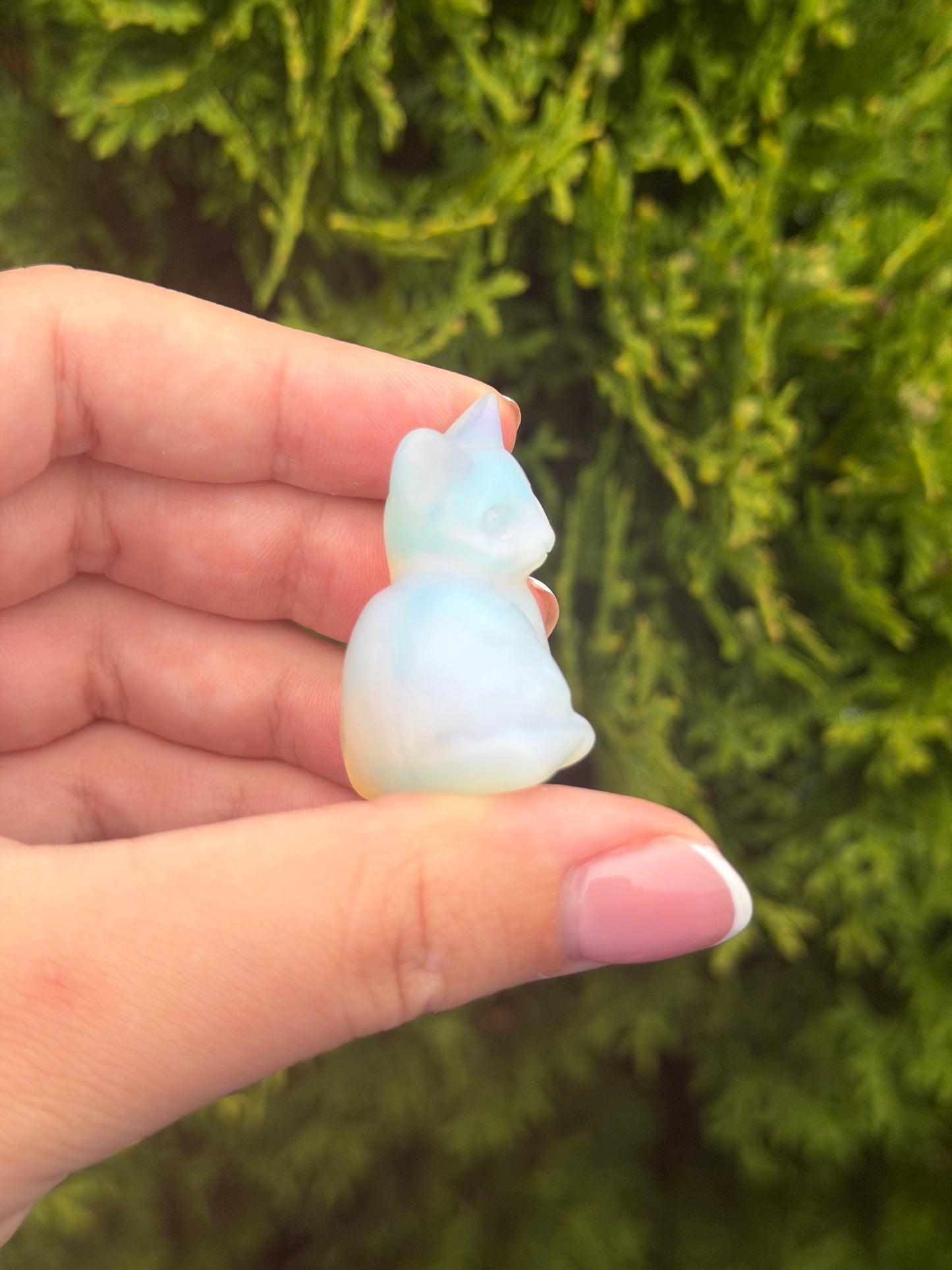 Opalite Cat
