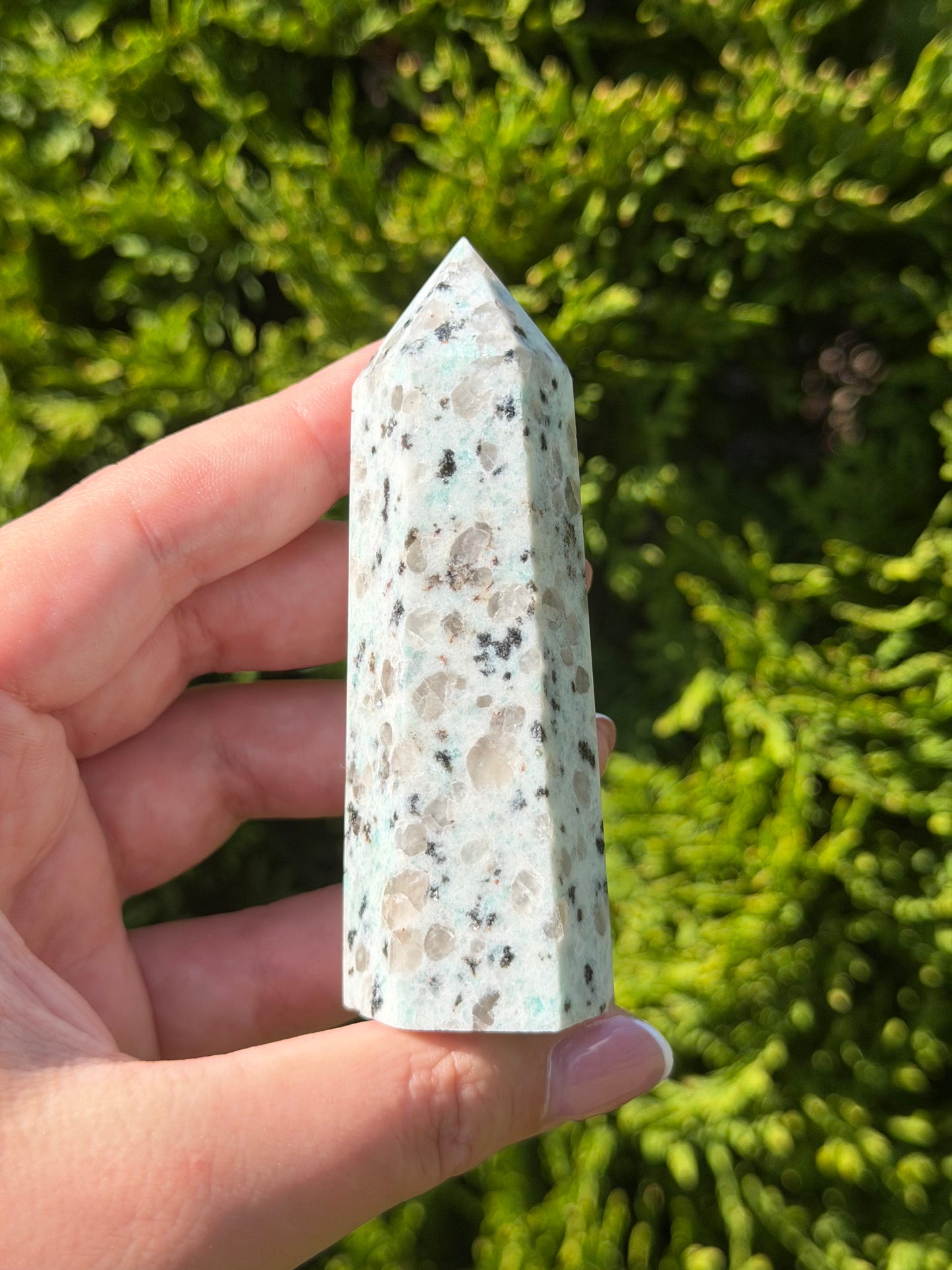 Kiwi Jasper Point