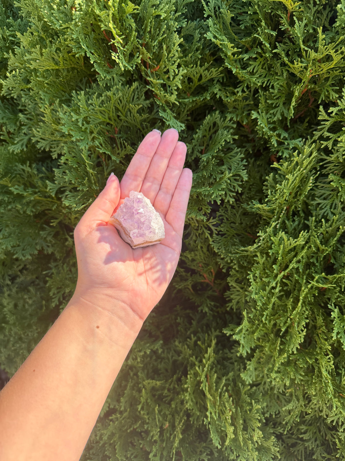 Raw Amethyst Cluster