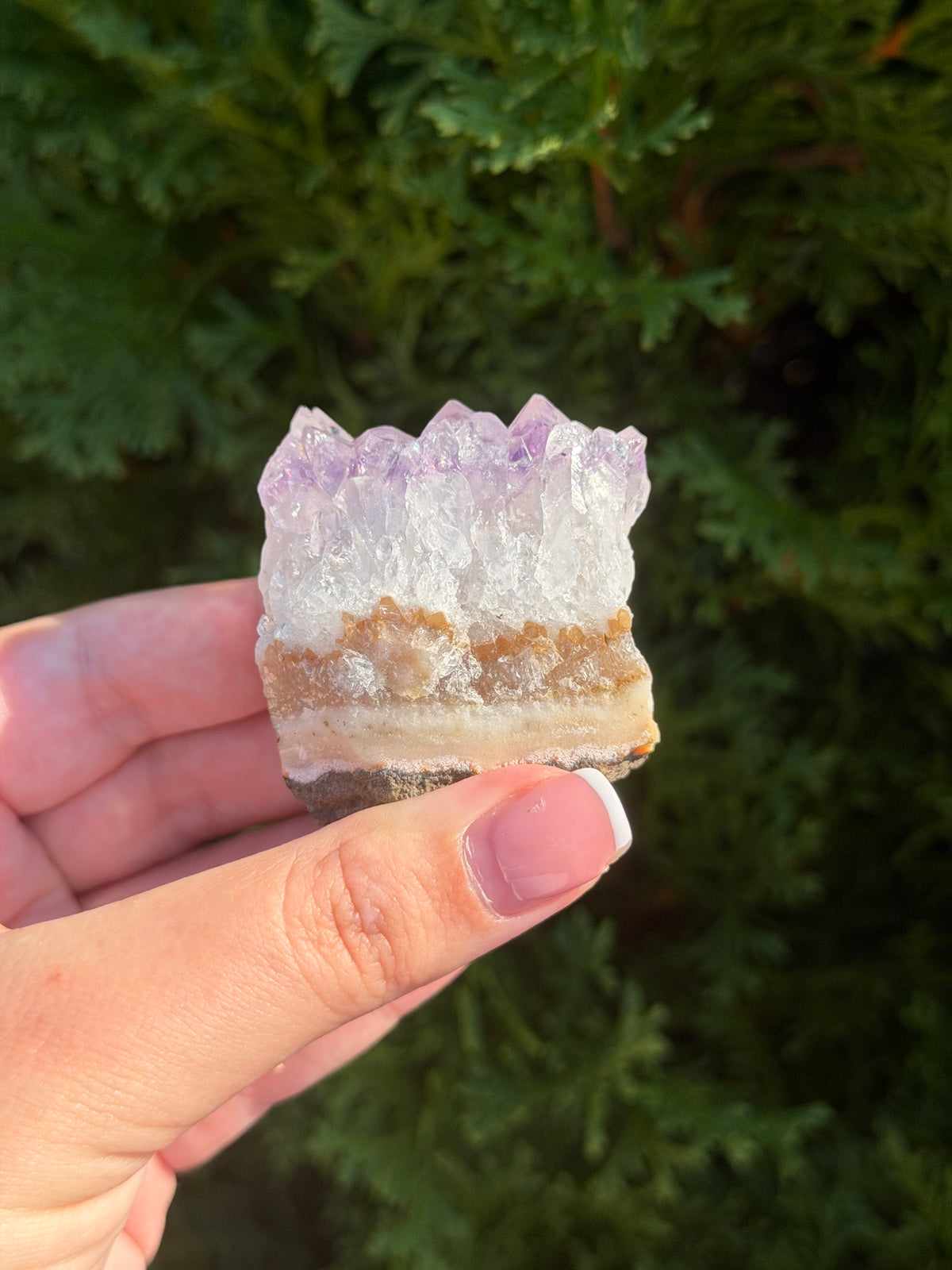 Raw Amethyst Cluster