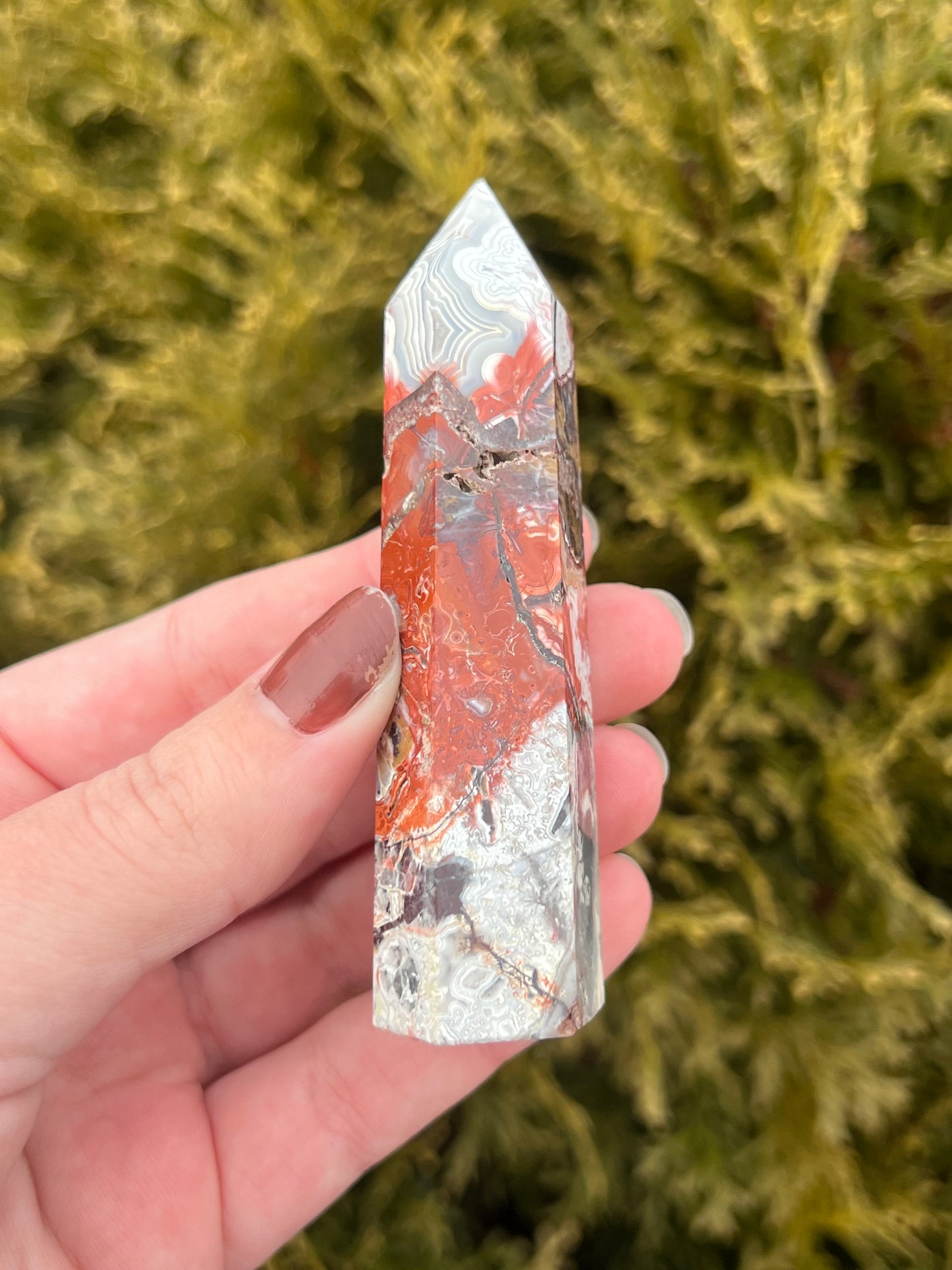 Mexico Lace Agate Point