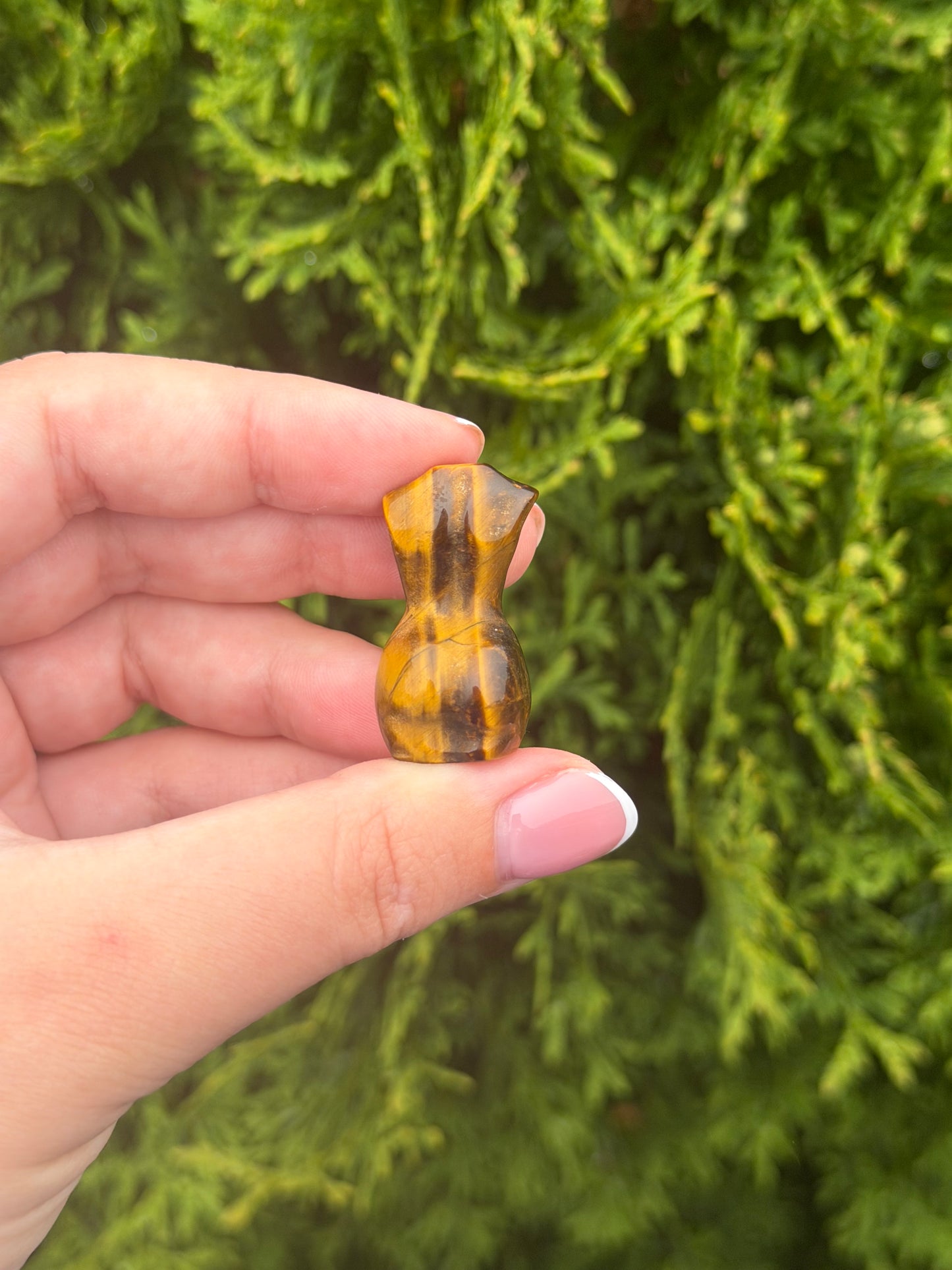 Tiger’s Eye Lady Body