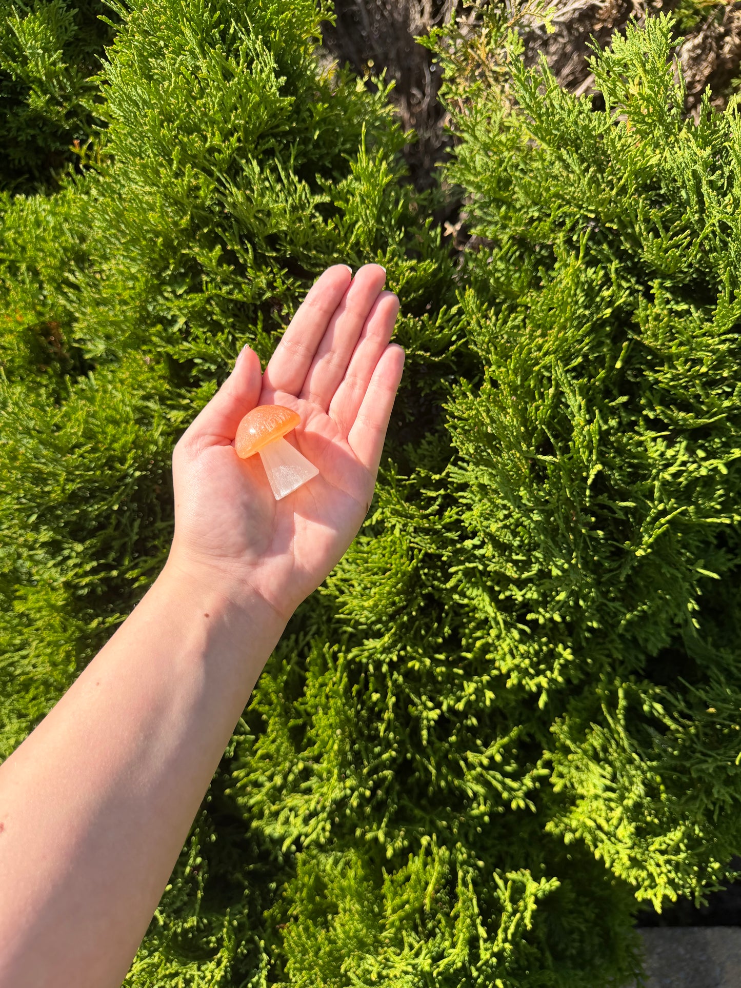 Small Selenite Mushroom