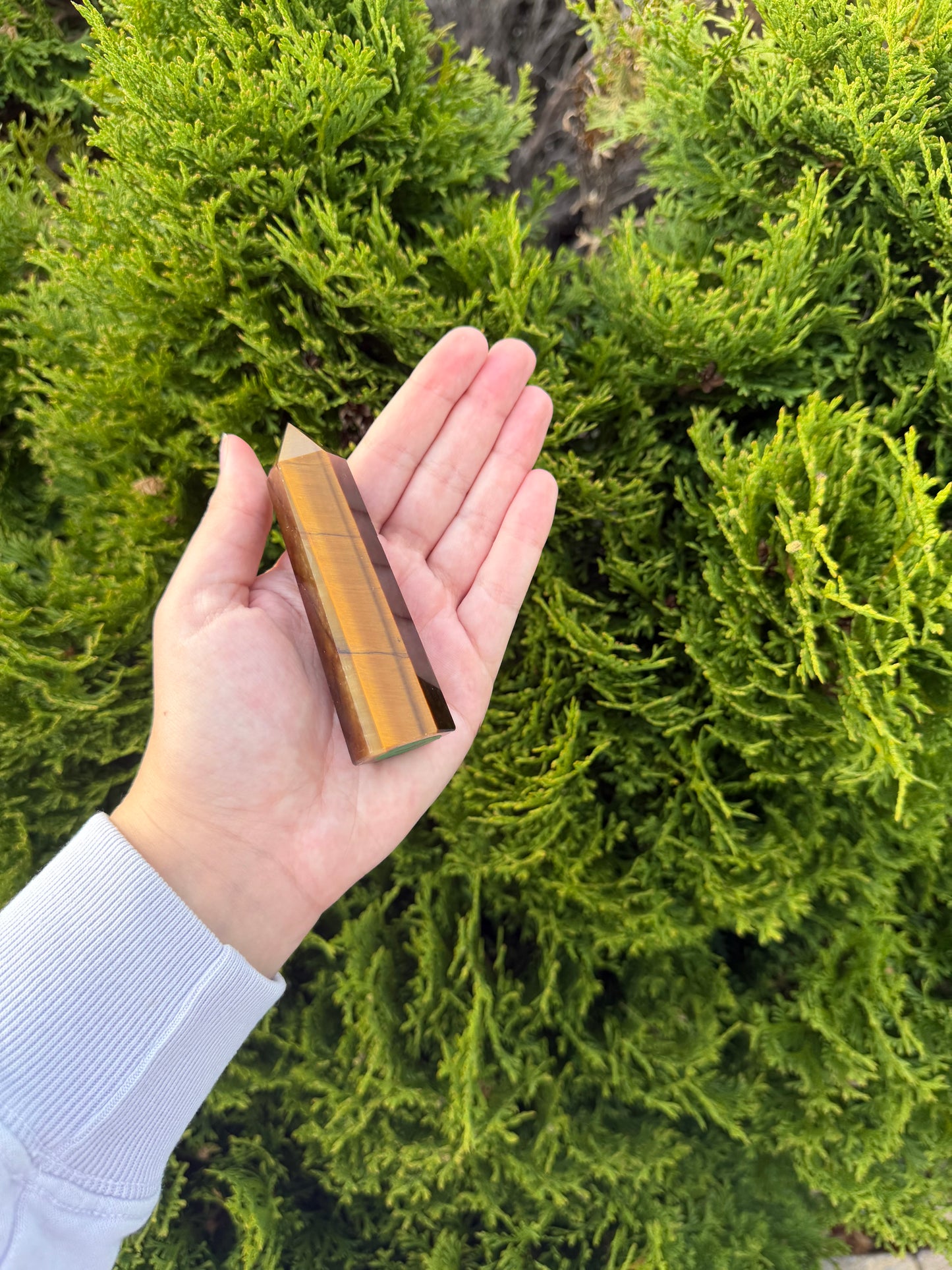 Tiger’s Eye Point 3