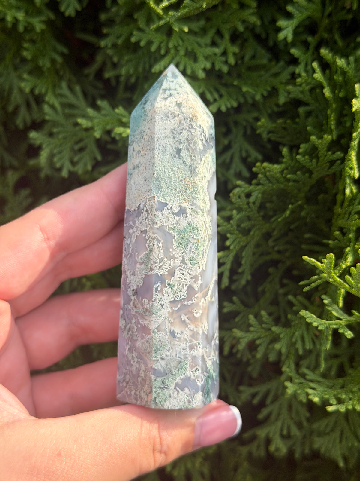 Moss Agate Point